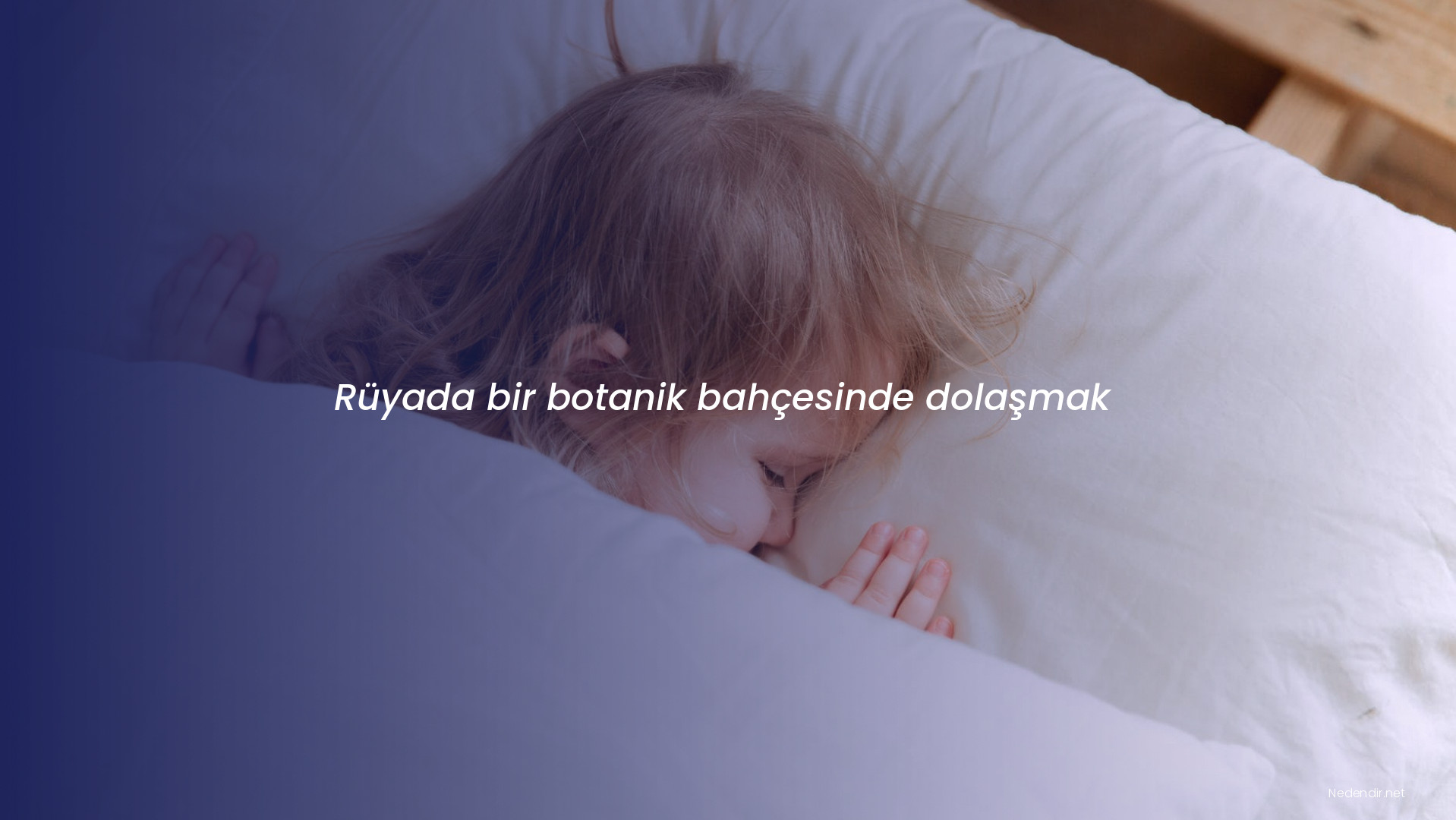 Rüyada bir botanik bahçesinde dolaşmak