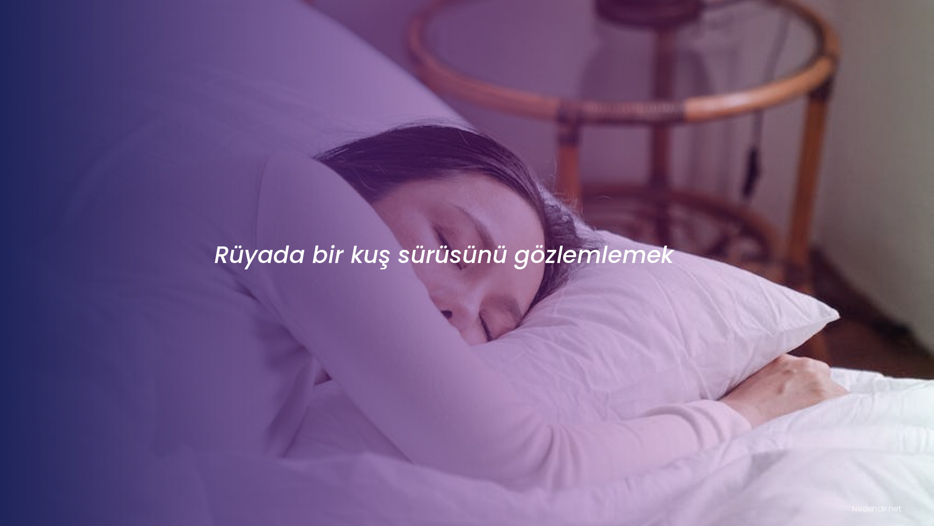 Rüyada bir kuş sürüsünü gözlemlemek