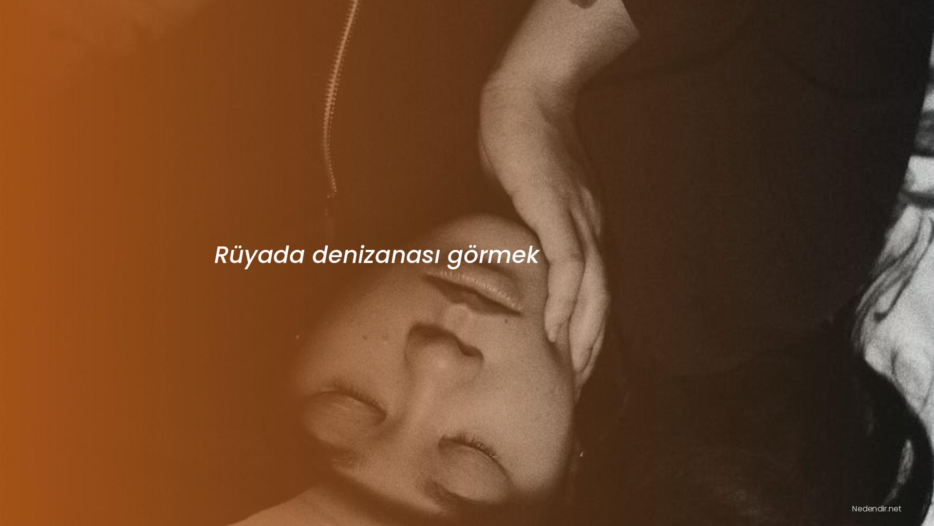 Rüyada denizanası görmek