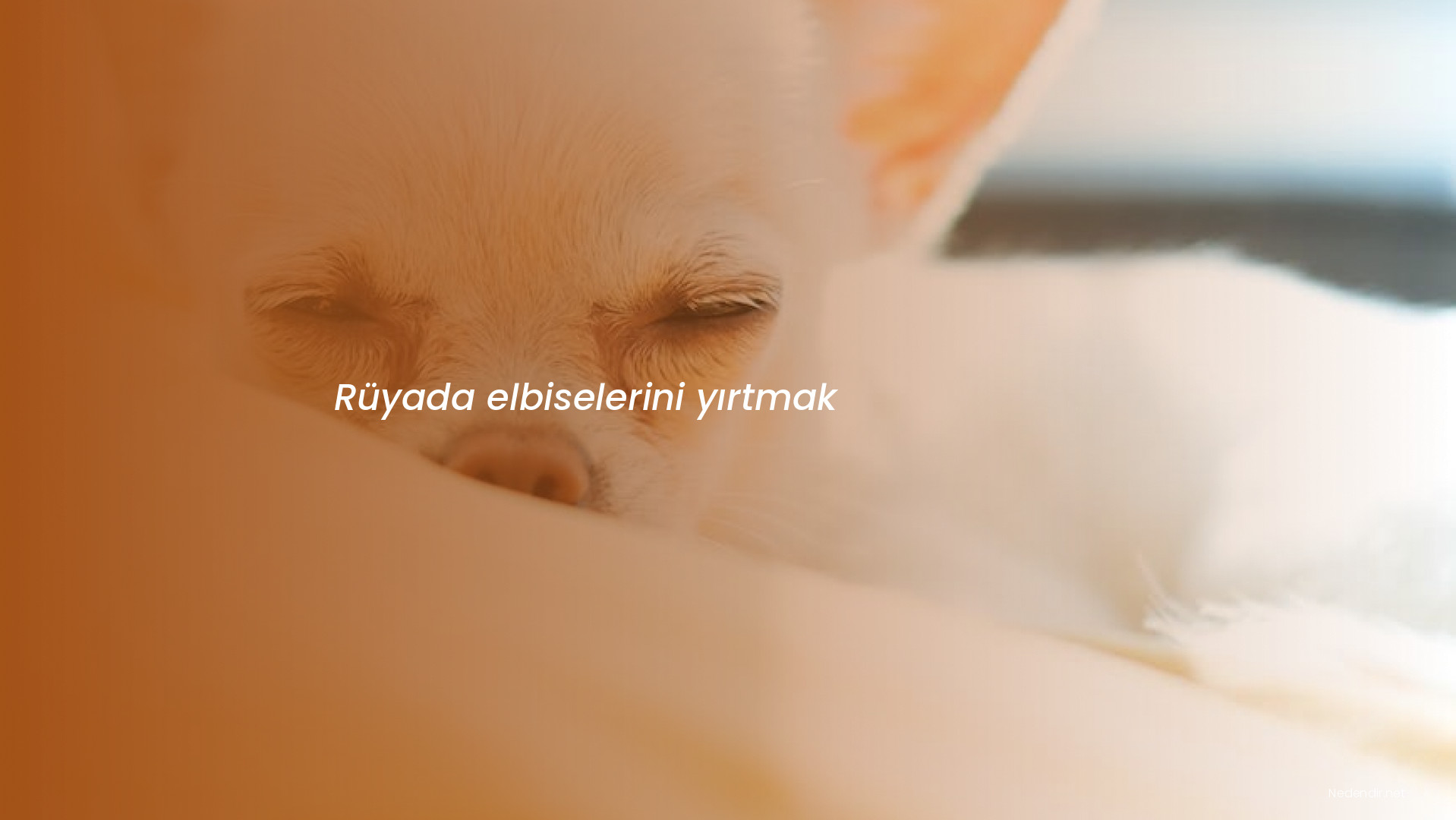 Rüyada elbiselerini yırtmak