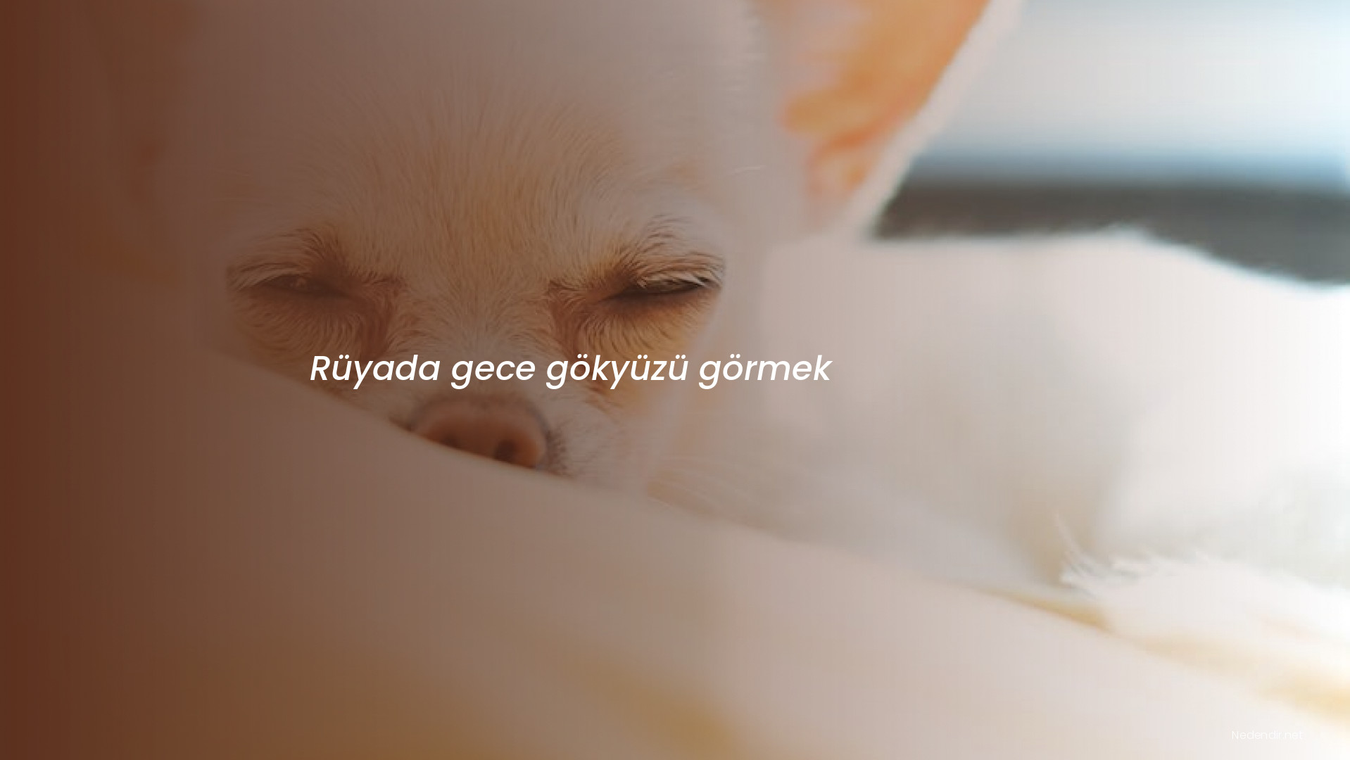 Rüyada gece gökyüzü görmek