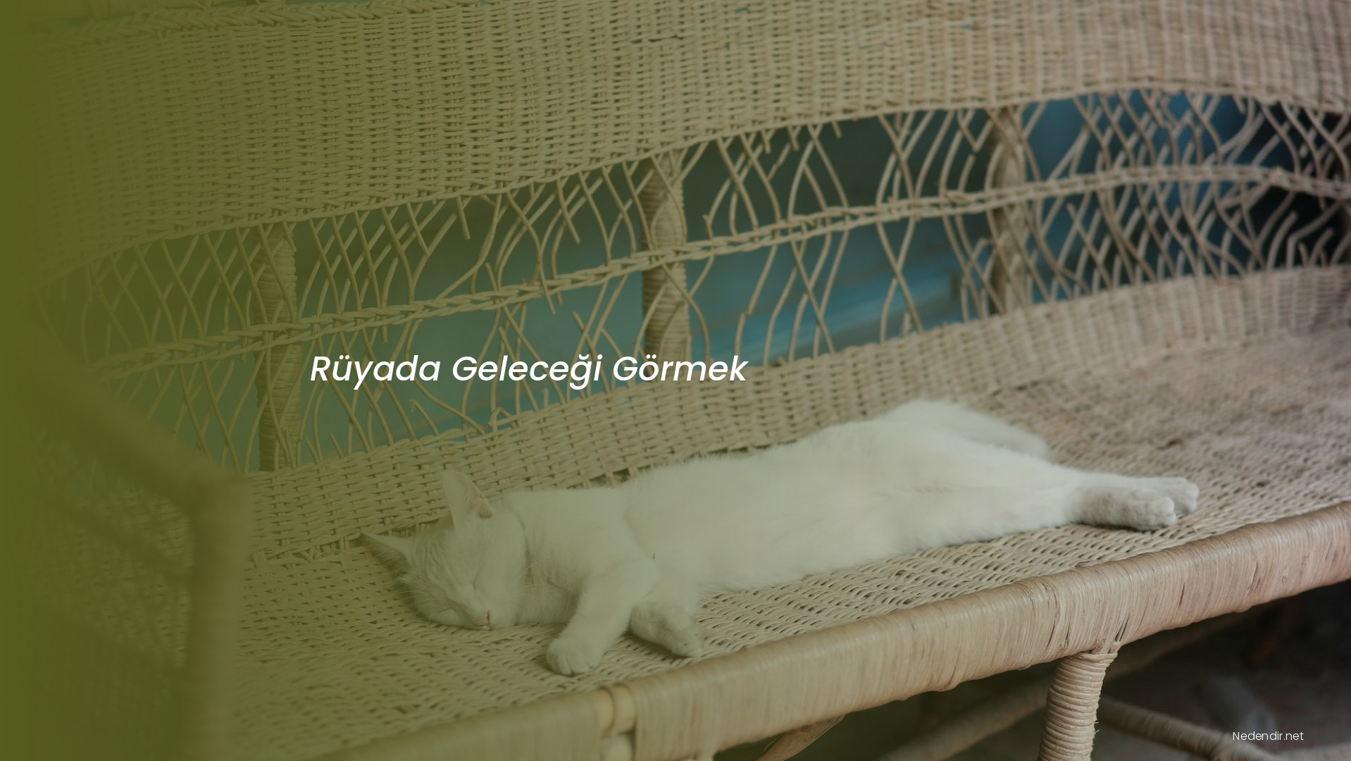 Rüyada Geleceği Görmek Rüyada Geleceği Görmek