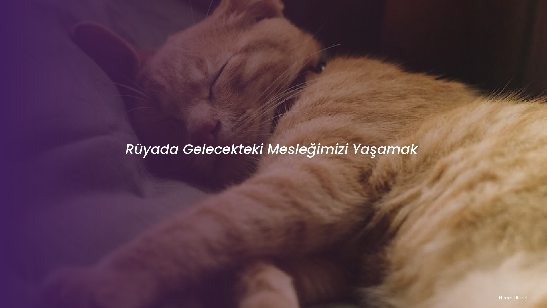 Rüyada Gelecekteki Mesleğimizi Yaşamak Rüyada Gelecekteki Mesleğimizi Yaşamak