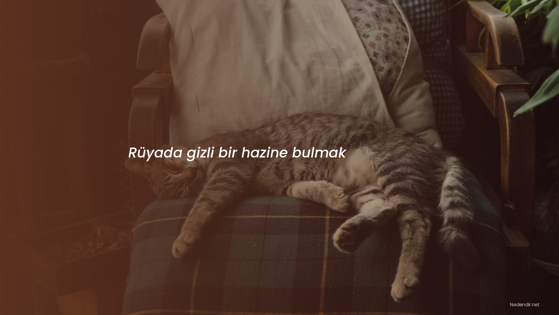 Rüyada gizli bir hazine bulmak
