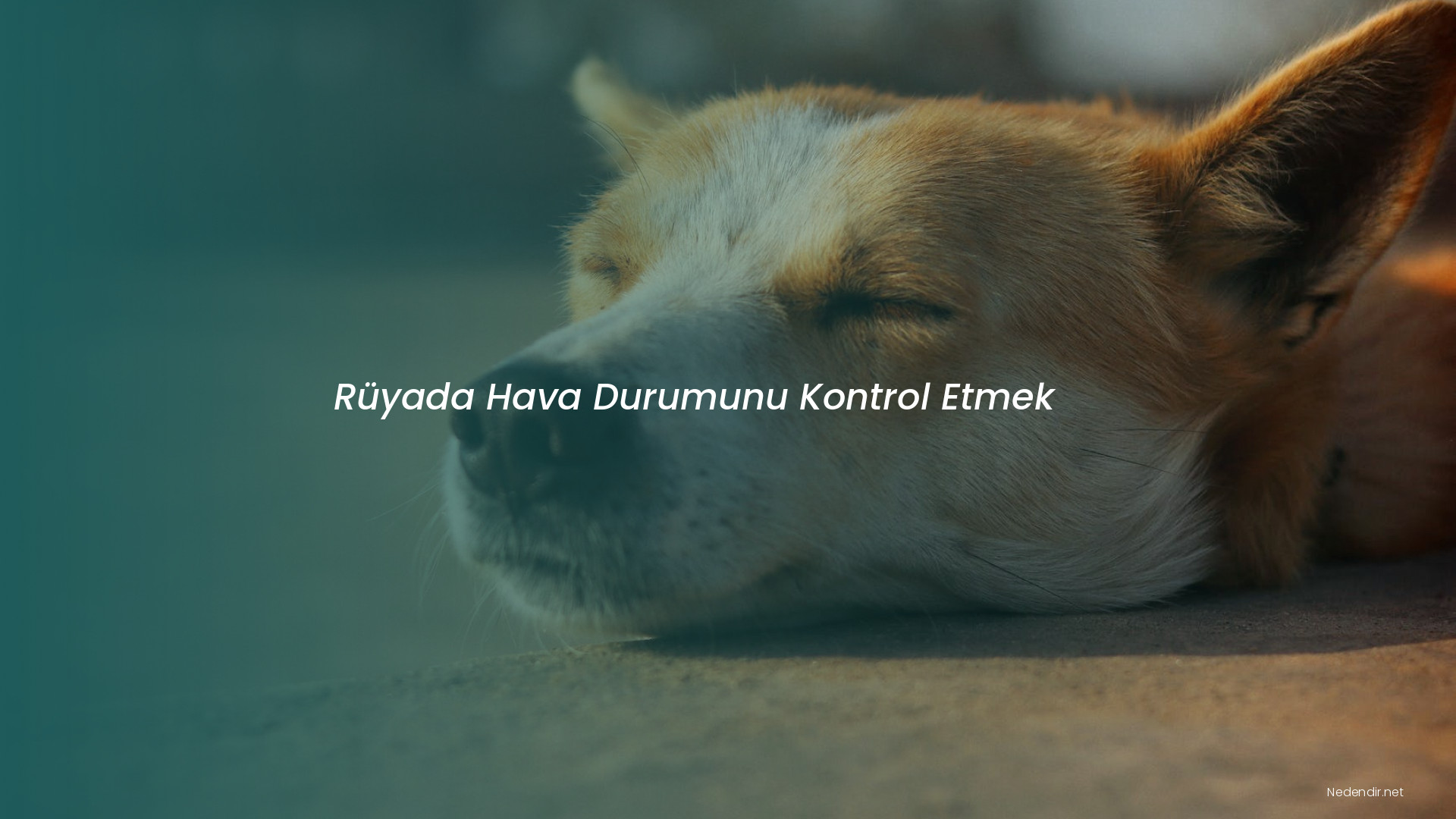 Rüyada Hava Durumunu Kontrol Etmek Rüyada Hava Durumunu Kontrol Etmek