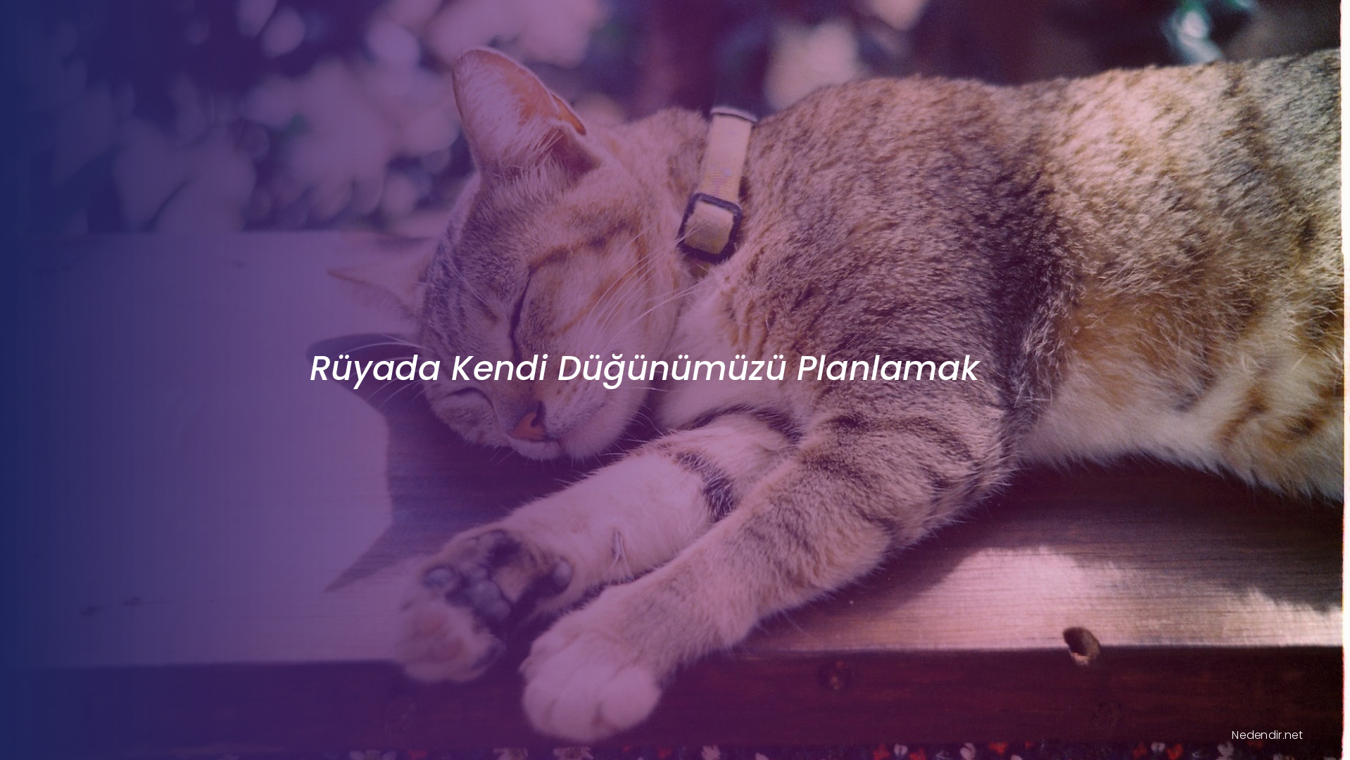 Rüyada Kendi Düğünümüzü Planlamak Rüyada Kendi Düğünümüzü Planlamak