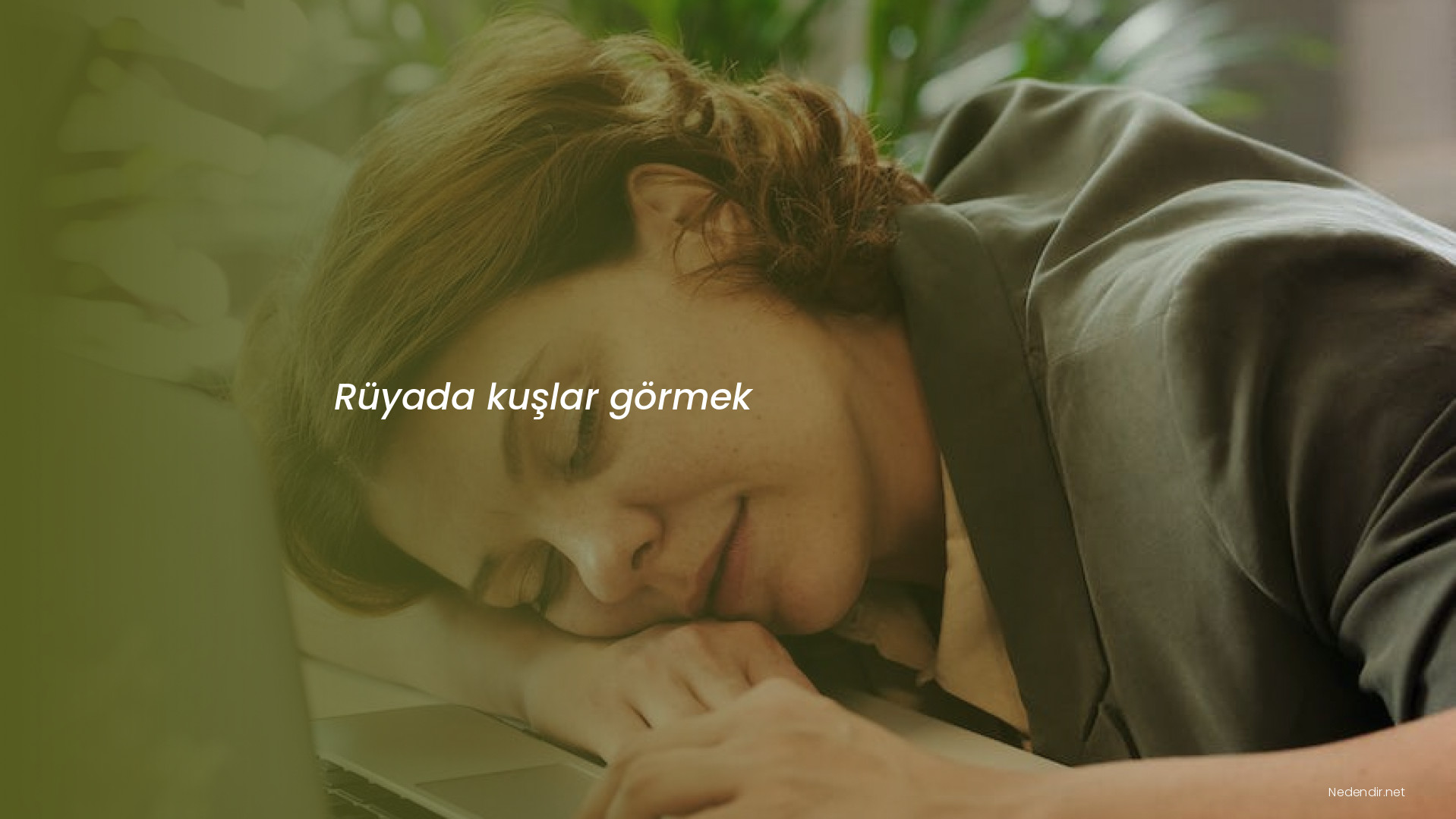 Rüyada kuşlar görmek