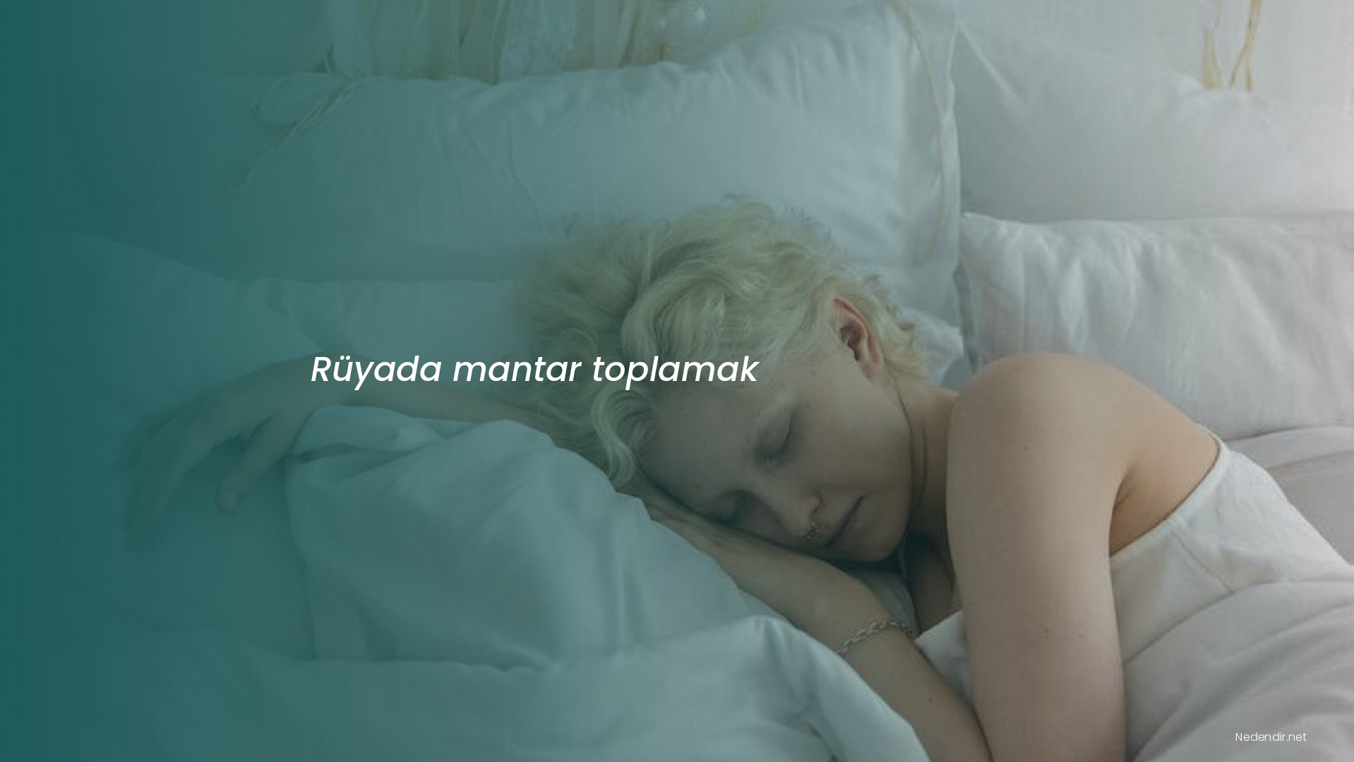 Rüyada mantar toplamak