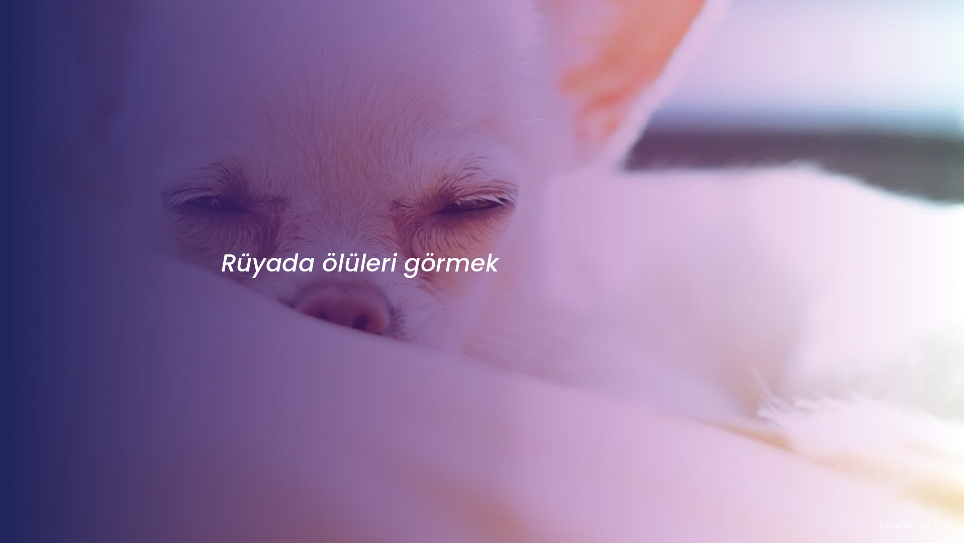 Rüyada ölüleri görmek
