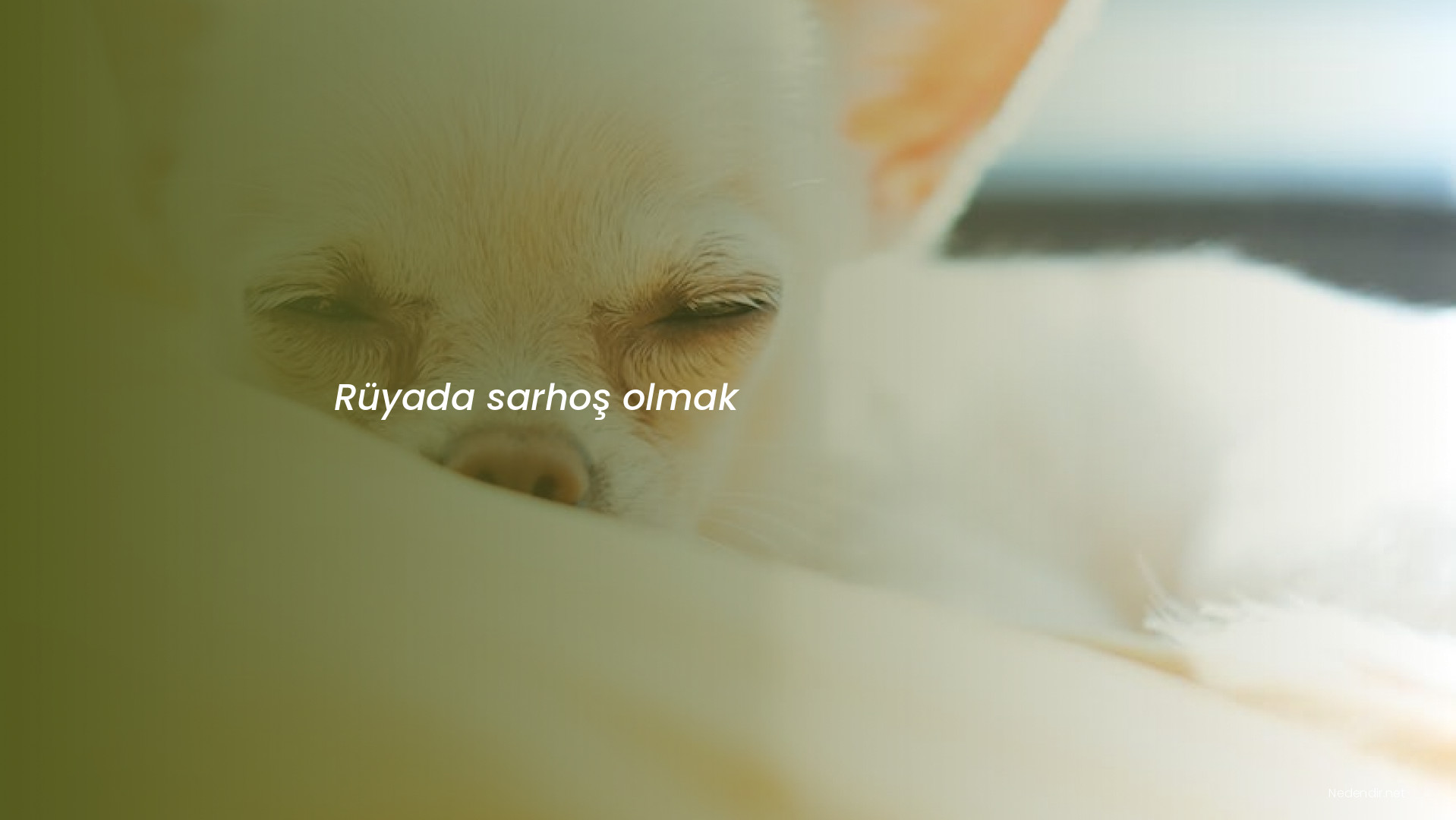 Rüyada sarhoş olmak