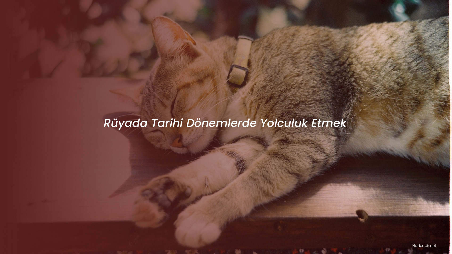 Rüyada Tarihi Dönemlerde Yolculuk Etmek Rüyada Tarihi Dönemlerde Yolculuk Etmek
