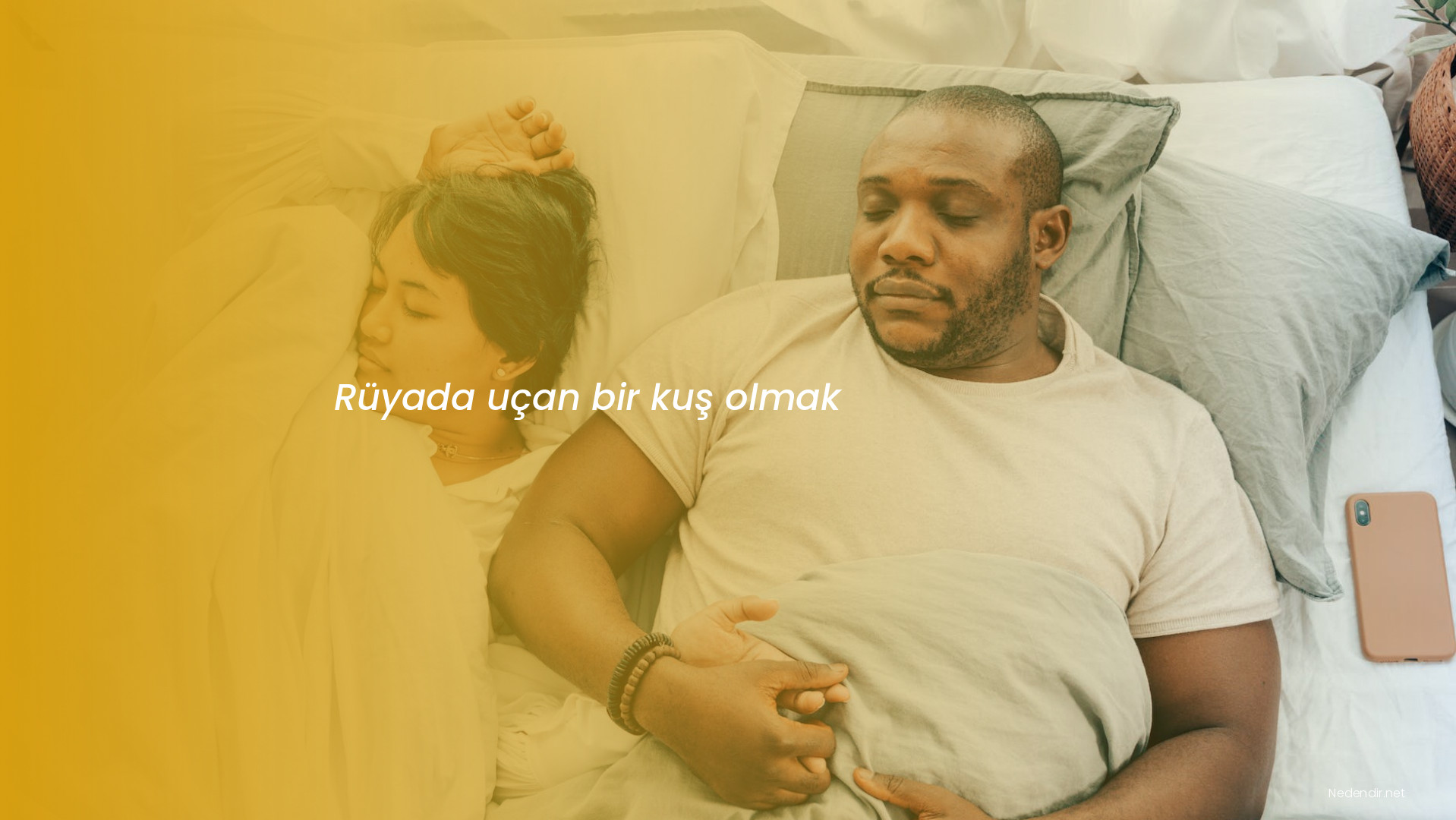 Rüyada uçan bir kuş olmak