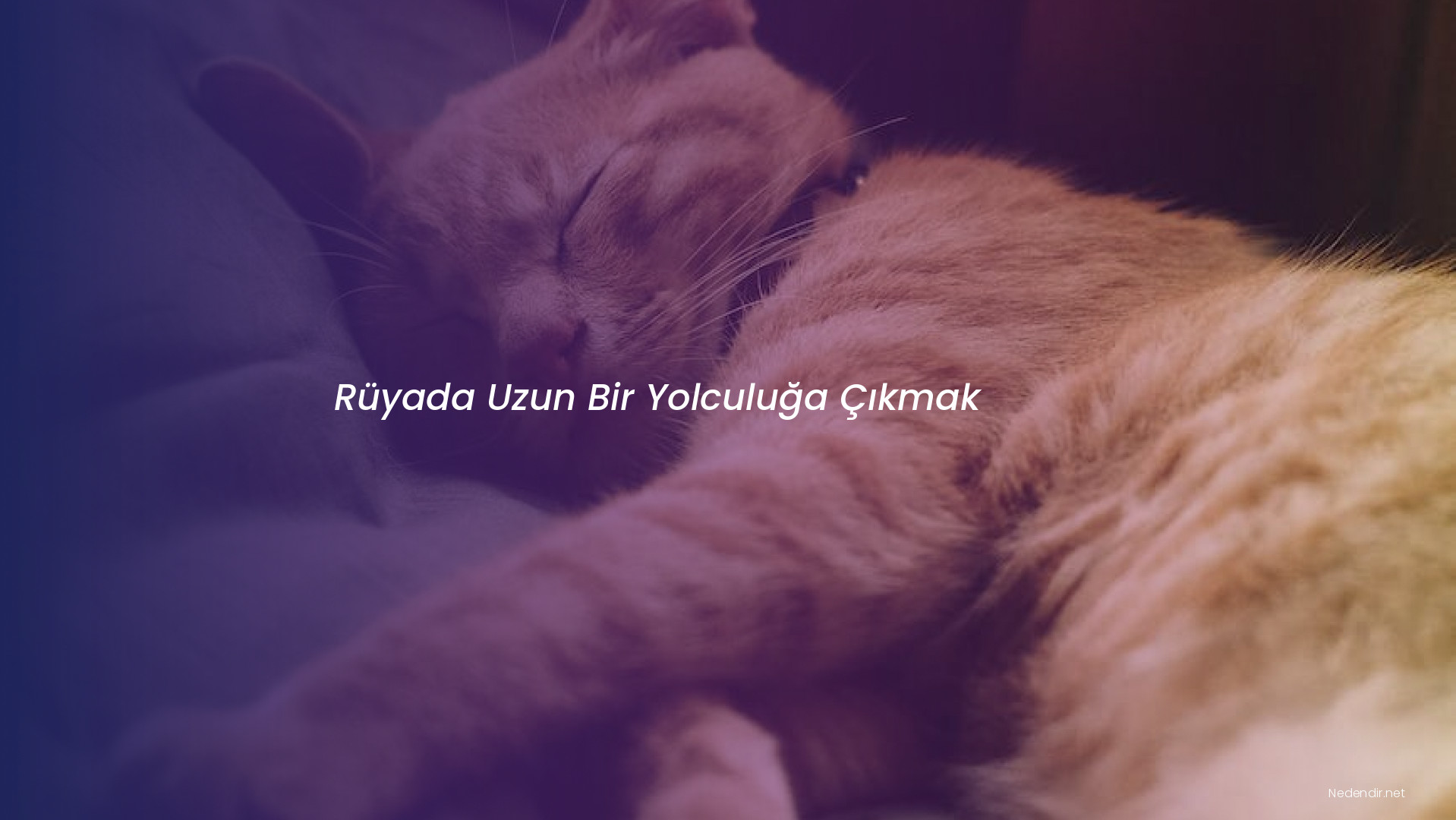Rüyada Uzun Bir Yolculuğa Çıkmak Rüyada Uzun Bir Yolculuğa Çıkmak