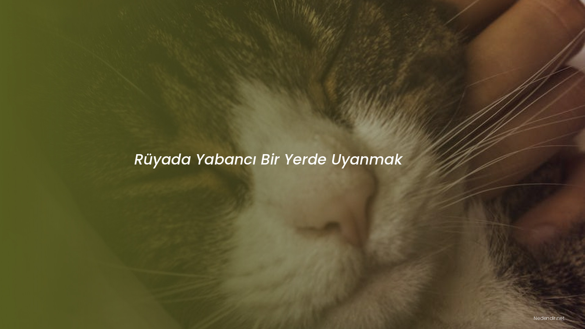 Rüyada Yabancı Bir Yerde Uyanmak Rüyada Yabancı Bir Yerde Uyanmak