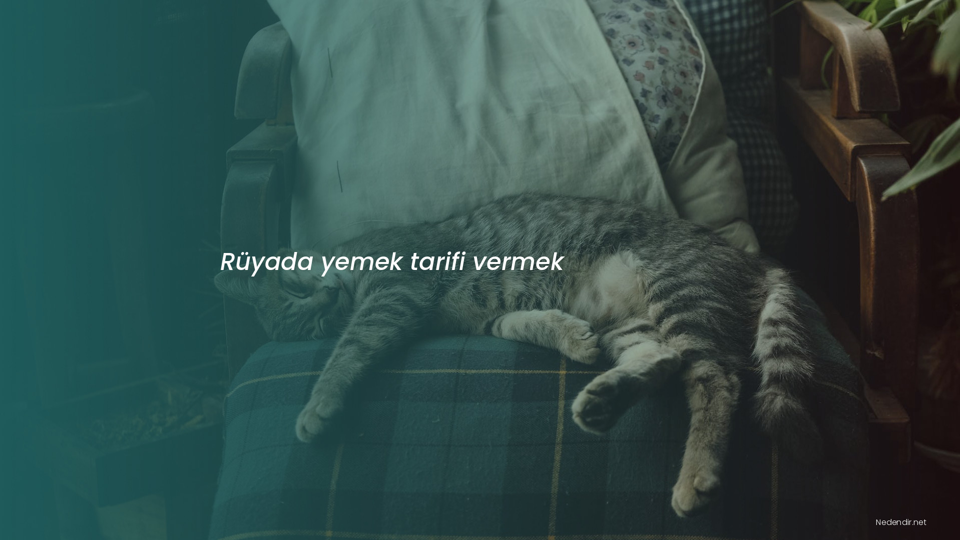 Rüyada yemek tarifi vermek