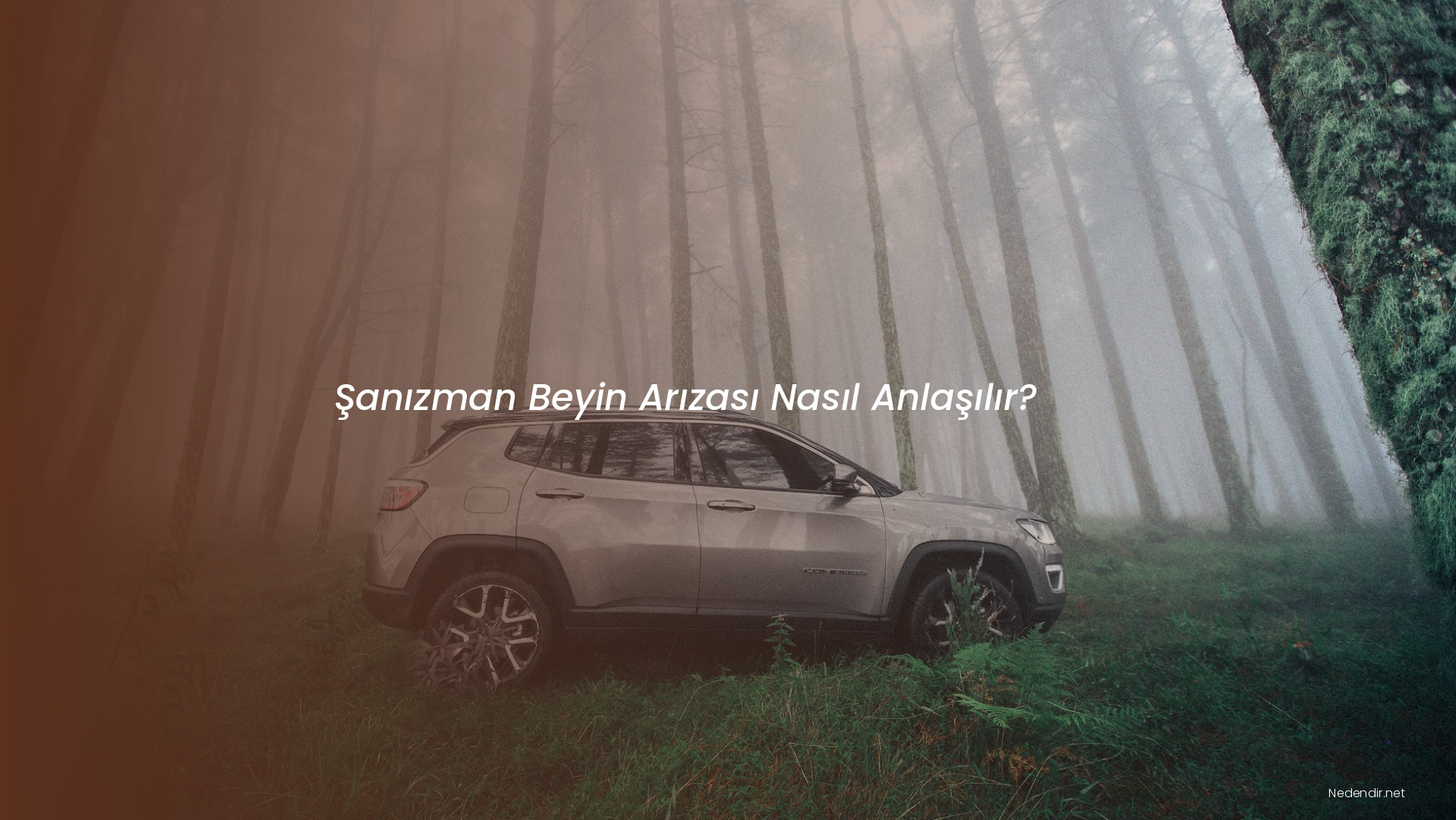 Şanızman Beyin Arızası Nasıl Anlaşılır?
