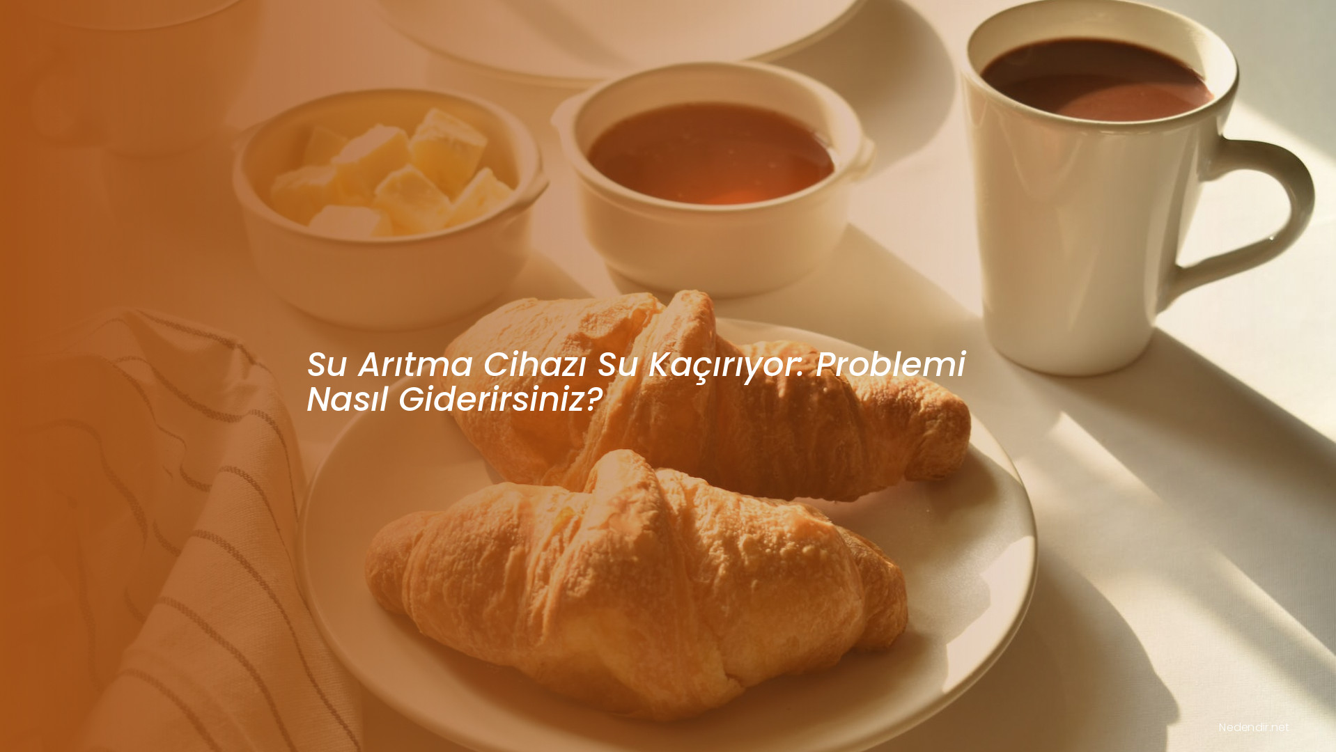 Su Arıtma Cihazı Su Kaçırıyor: Problemi Nasıl Giderirsiniz?