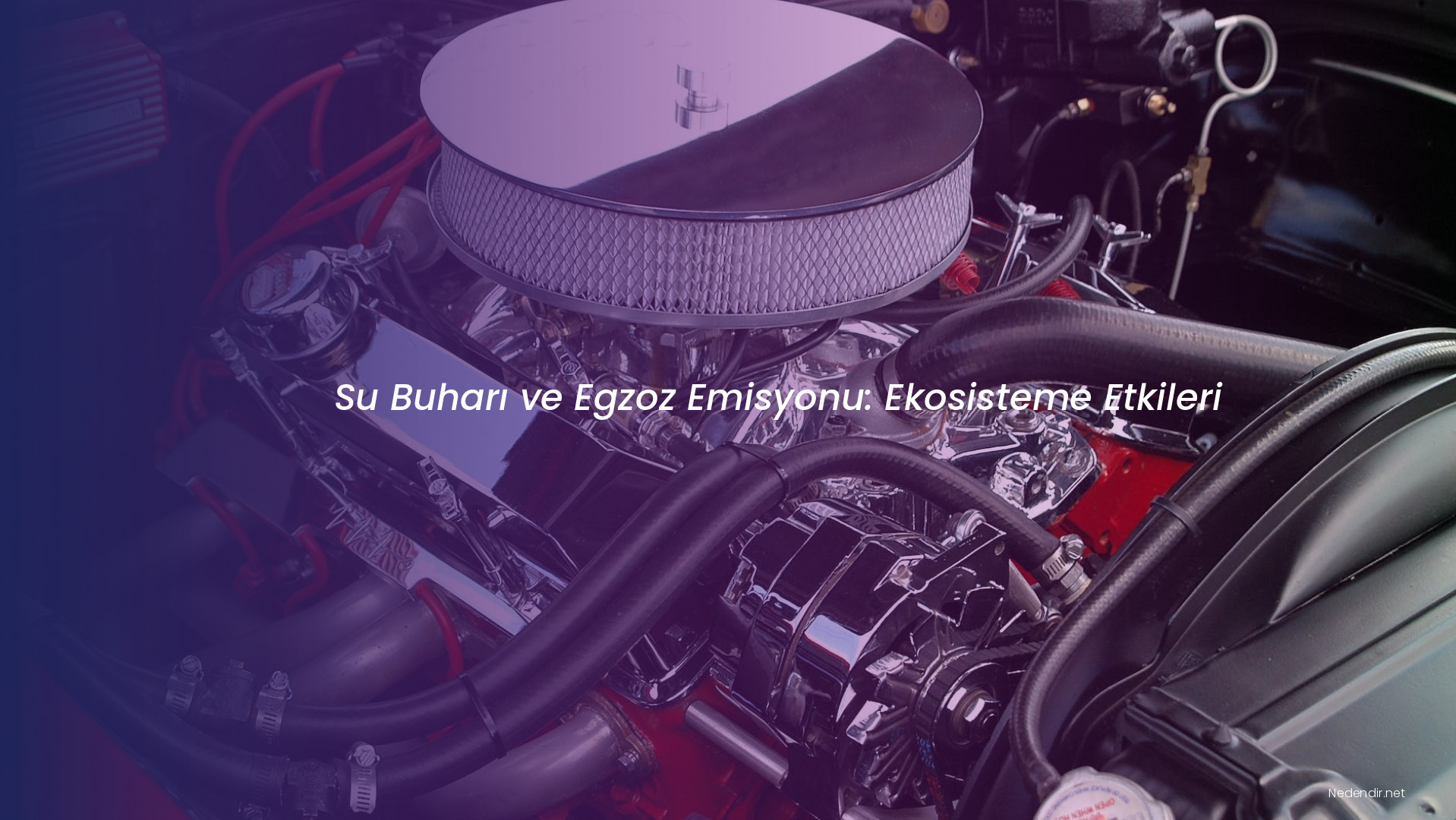 Su Buharı ve Egzoz Emisyonu: Ekosisteme Etkileri