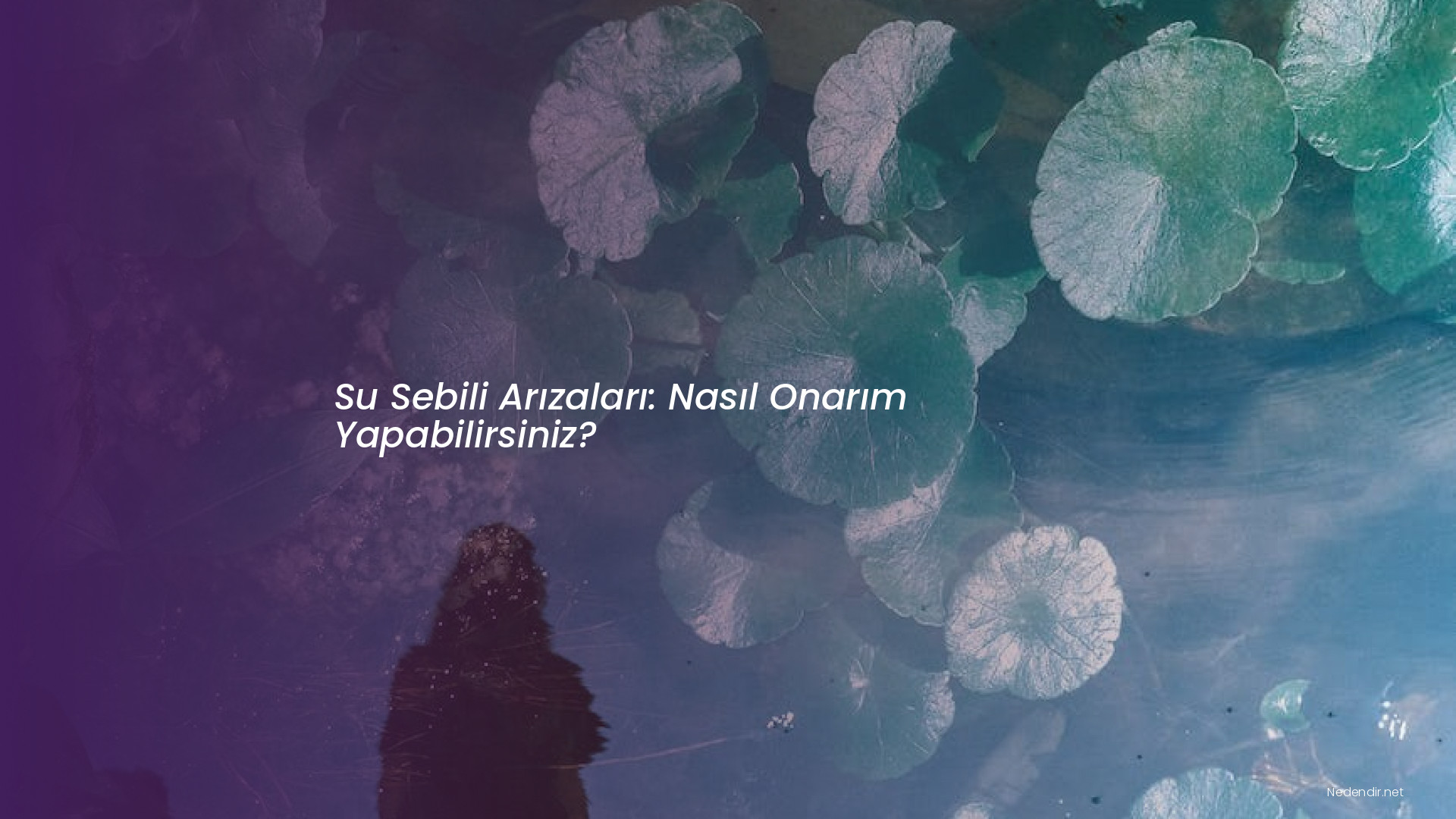 Su Sebili Arızaları: Nasıl Onarım Yapabilirsiniz?