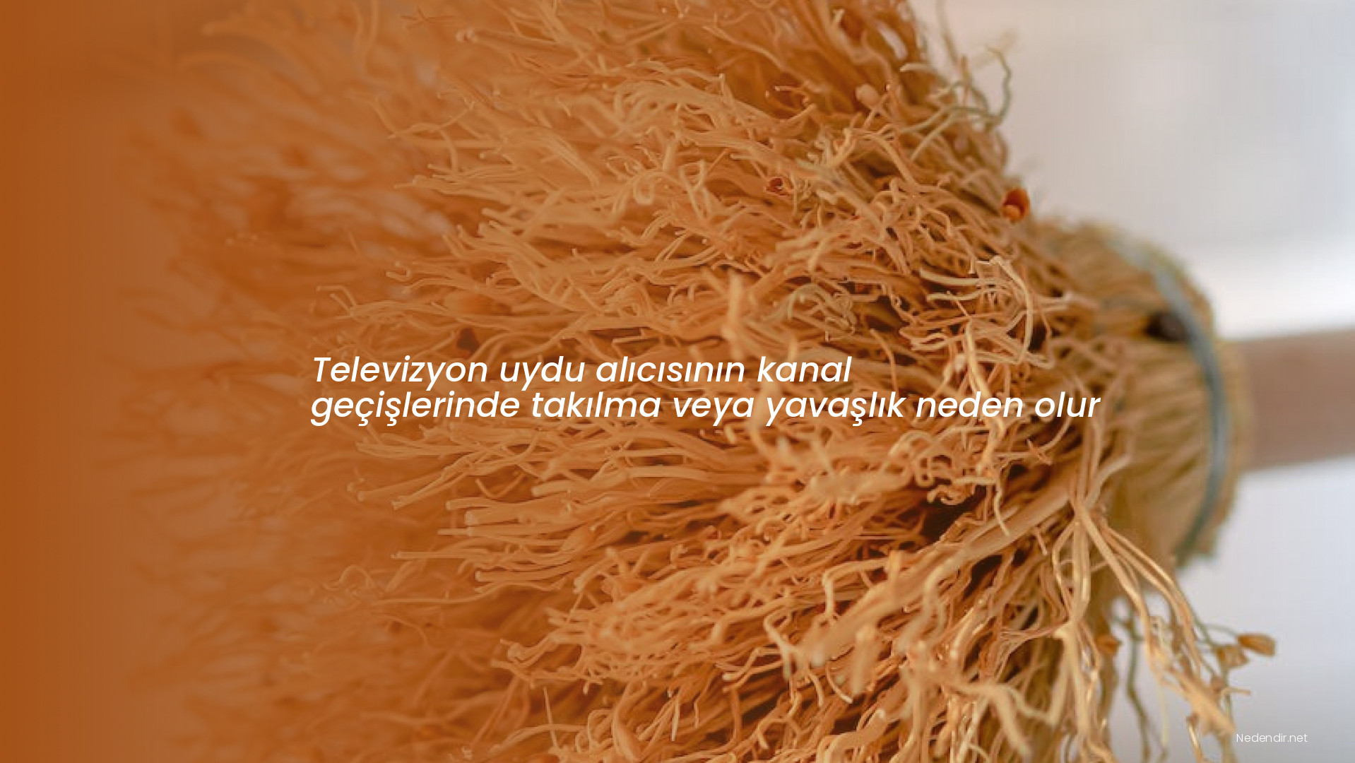Televizyon uydu alıcısının kanal geçişlerinde takılma veya yavaşlık neden olur
