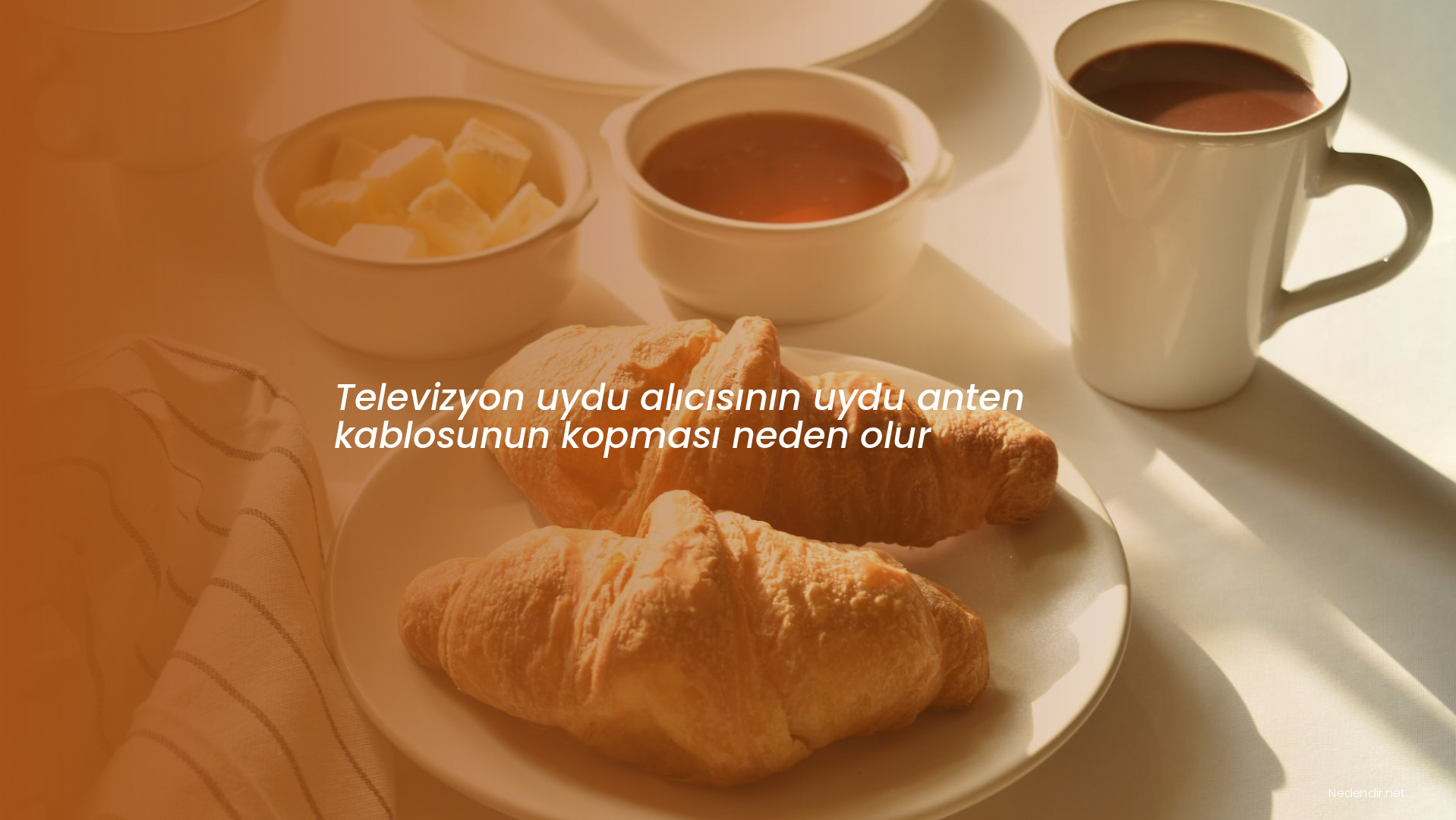 Televizyon uydu alıcısının uydu anten kablosunun kopması neden olur