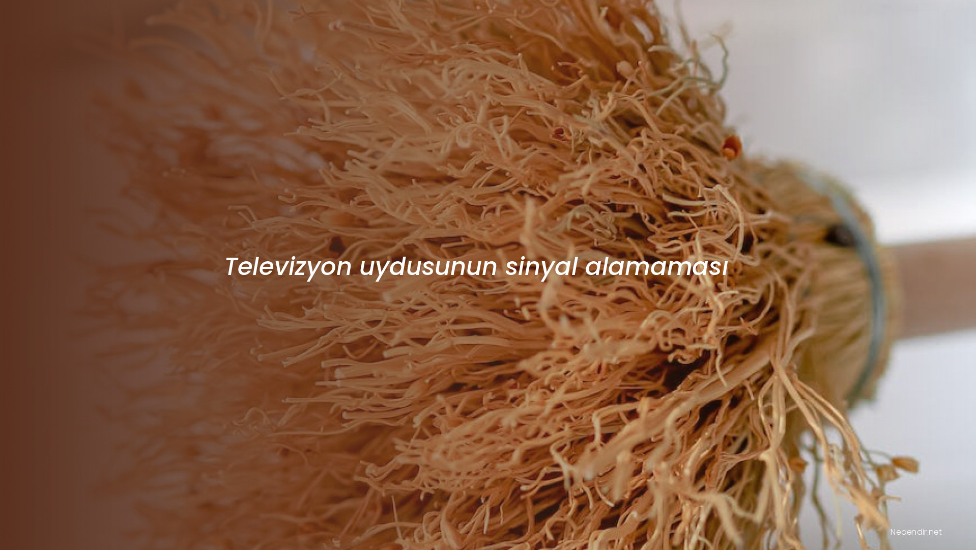 Televizyon uydusunun sinyal alamaması
