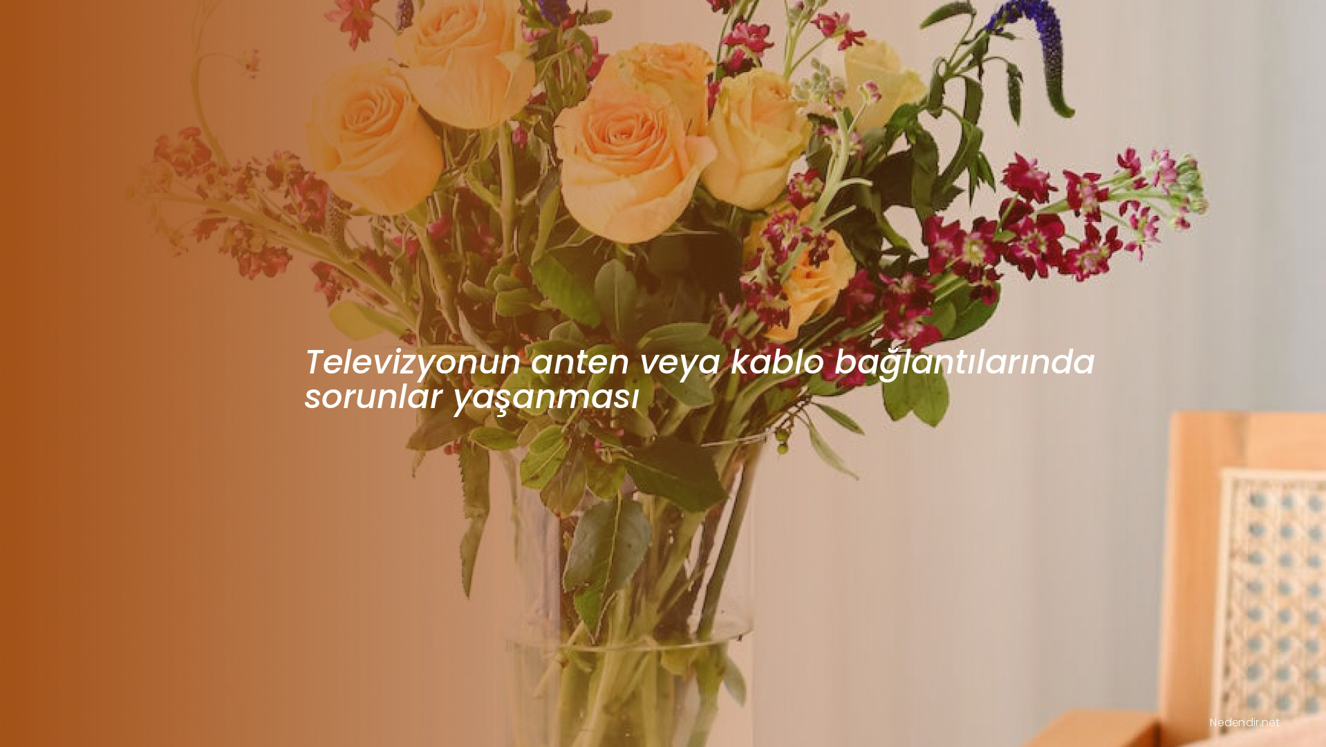 Televizyonun anten veya kablo bağlantılarında sorunlar yaşanması