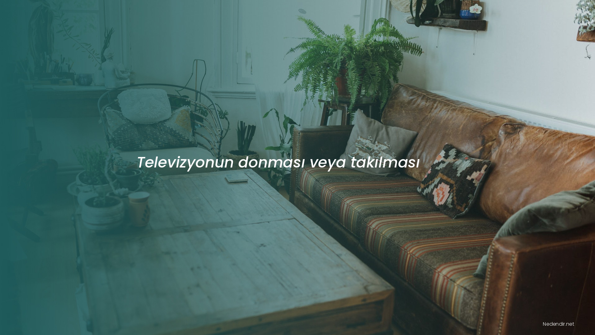 Televizyonun donması veya takılması