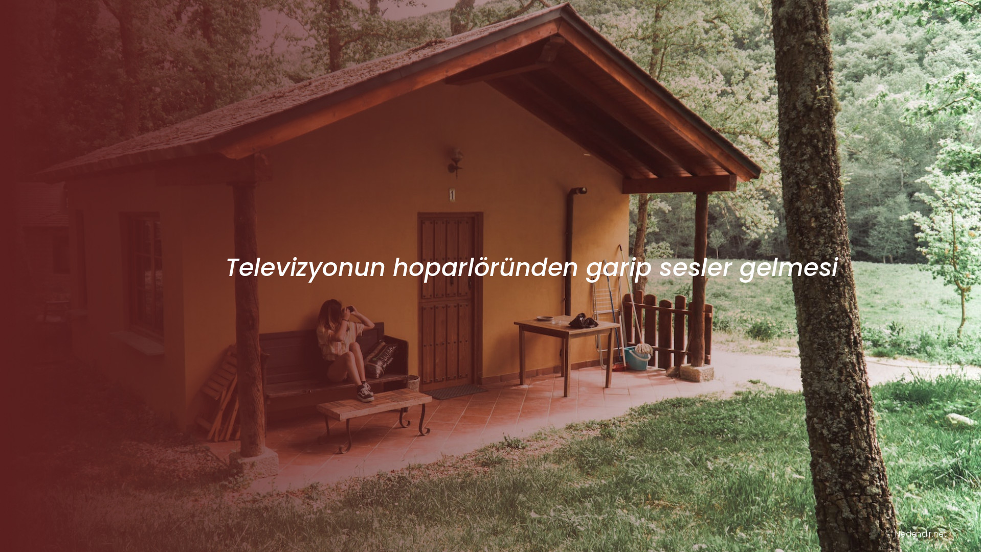 Televizyonun hoparlöründen garip sesler gelmesi