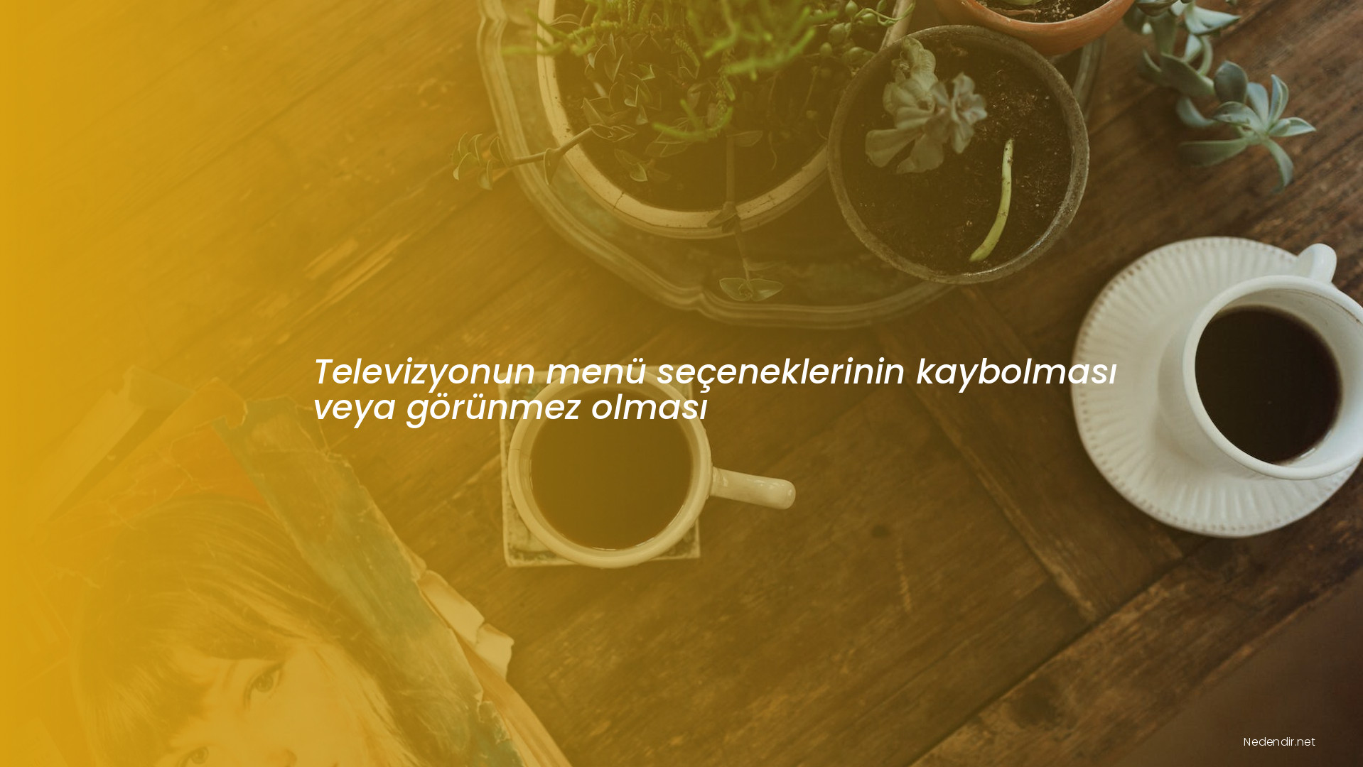 Televizyonun menü seçeneklerinin kaybolması veya görünmez olması
