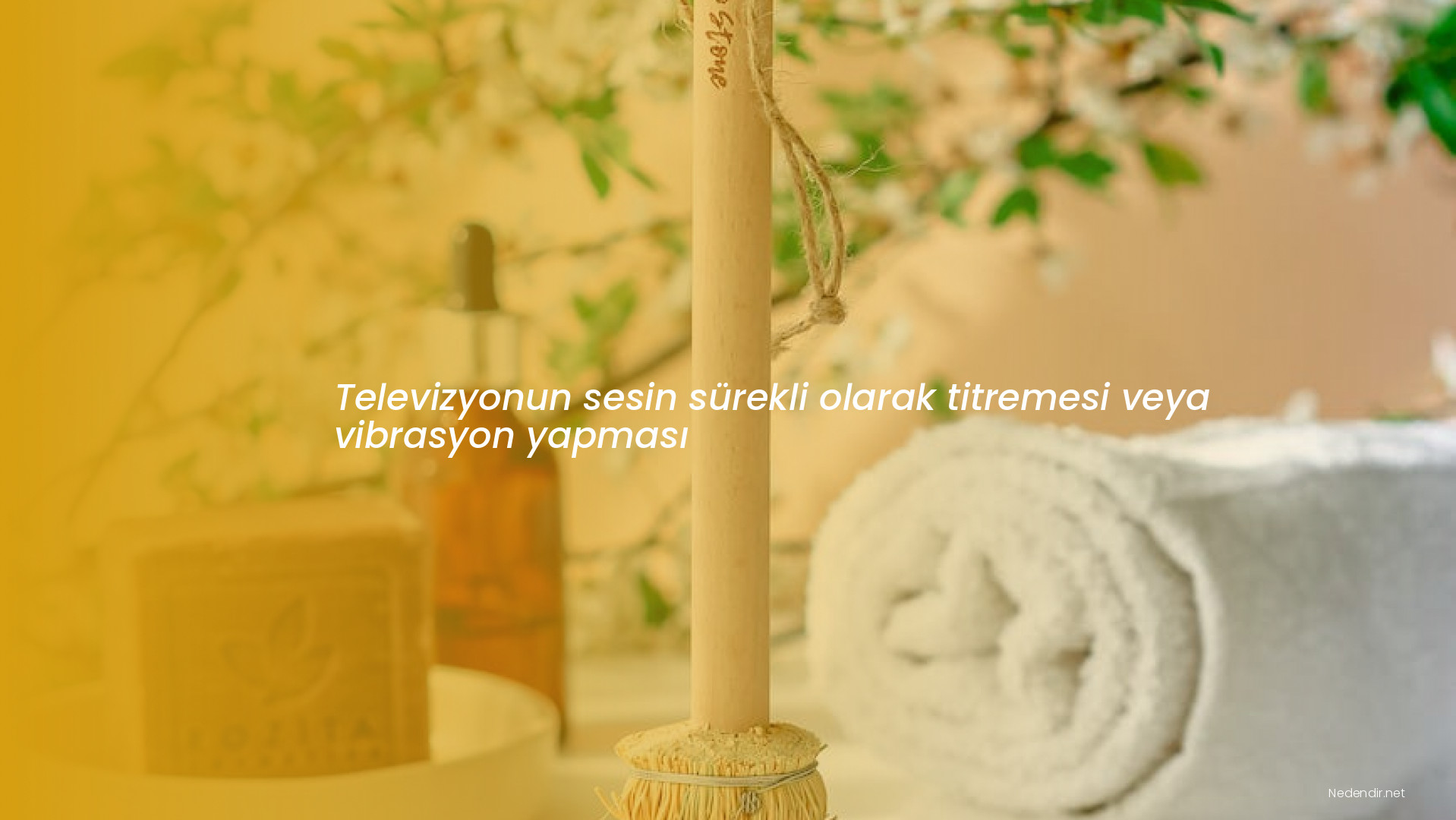 Televizyonun sesin sürekli olarak titremesi veya vibrasyon yapması