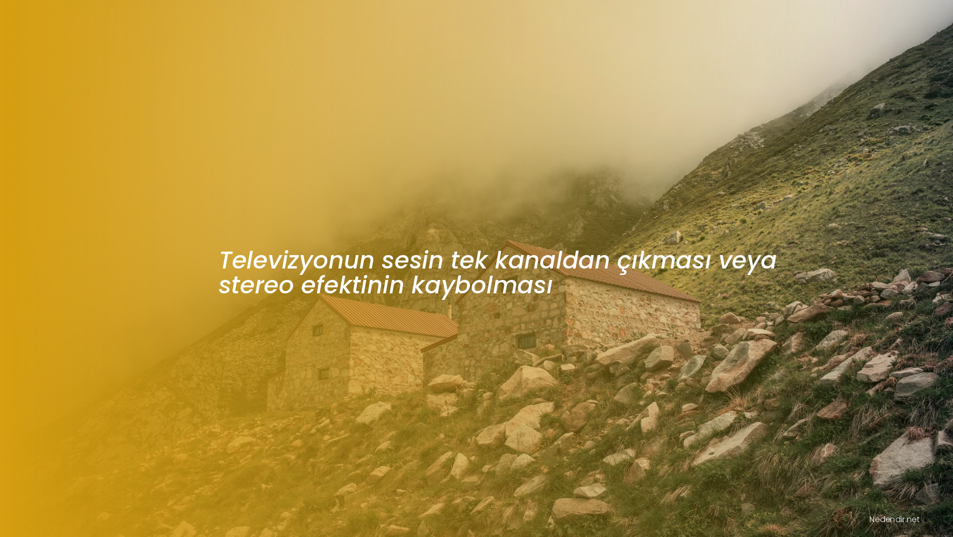 Televizyonun sesin tek kanaldan çıkması veya stereo efektinin kaybolması