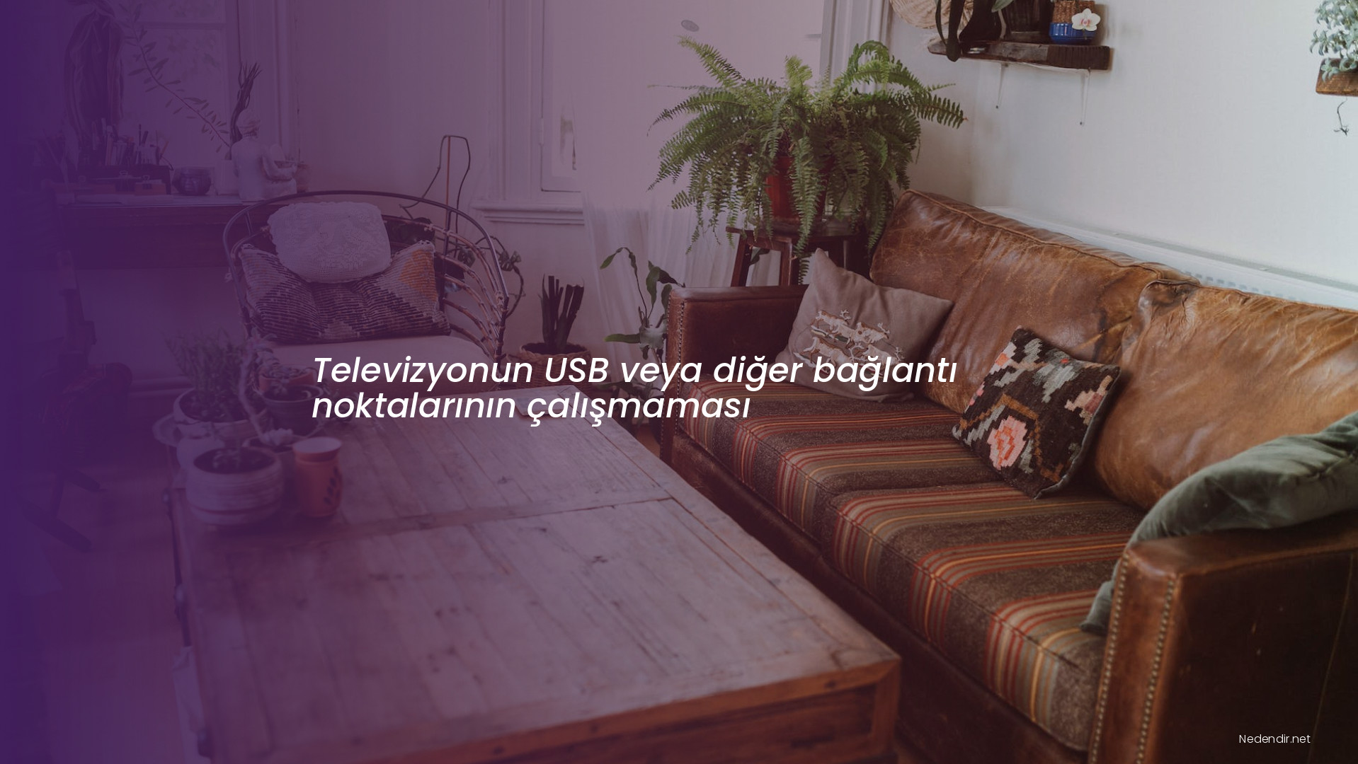 Televizyonun USB veya diğer bağlantı noktalarının çalışmaması