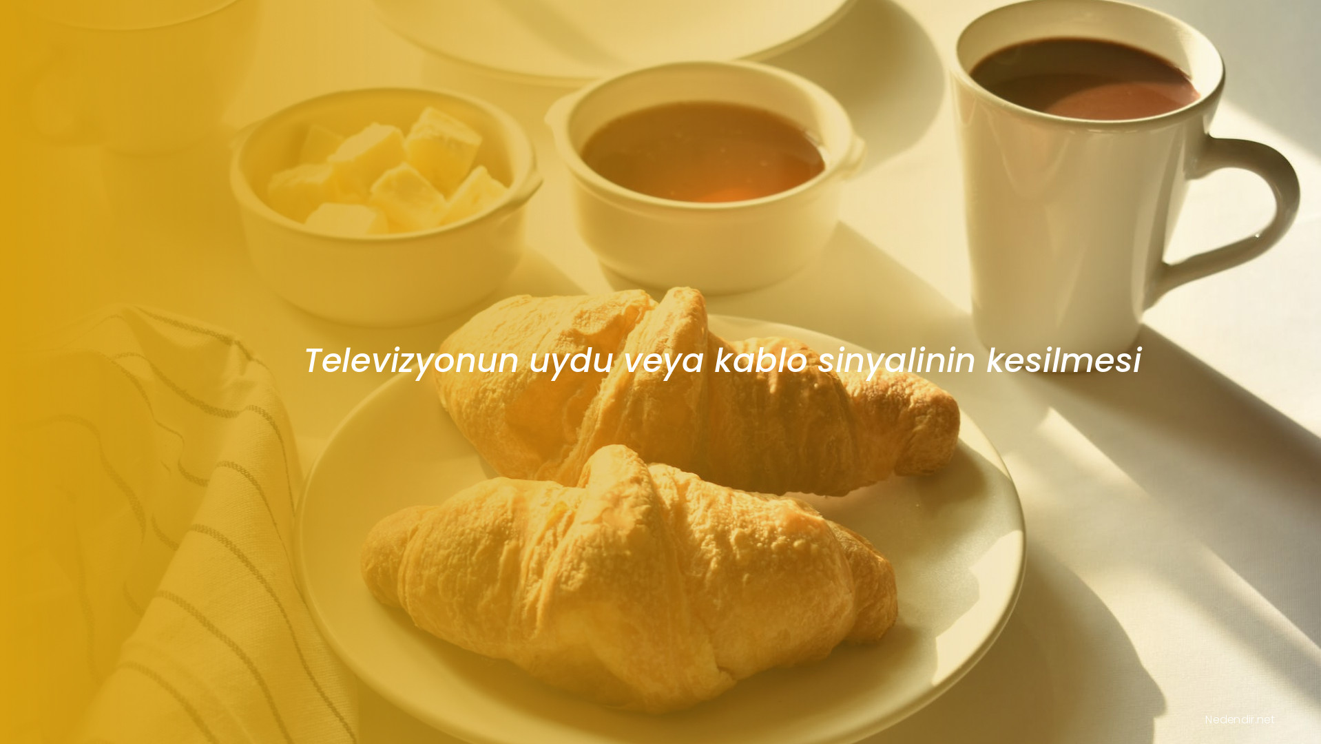 Televizyonun uydu veya kablo sinyalinin kesilmesi