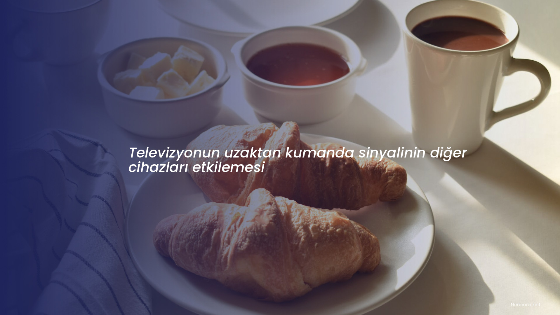 Televizyonun uzaktan kumanda sinyalinin diğer cihazları etkilemesi