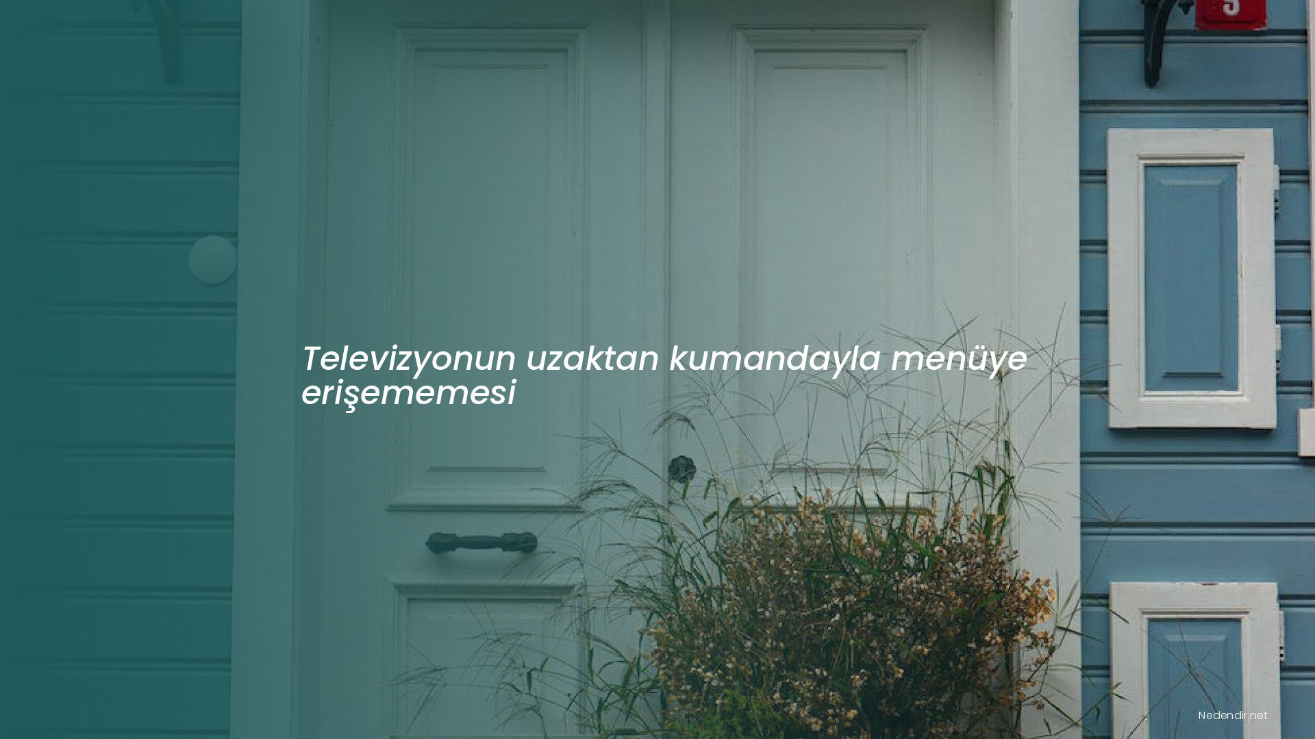 Televizyonun uzaktan kumandayla menüye erişememesi