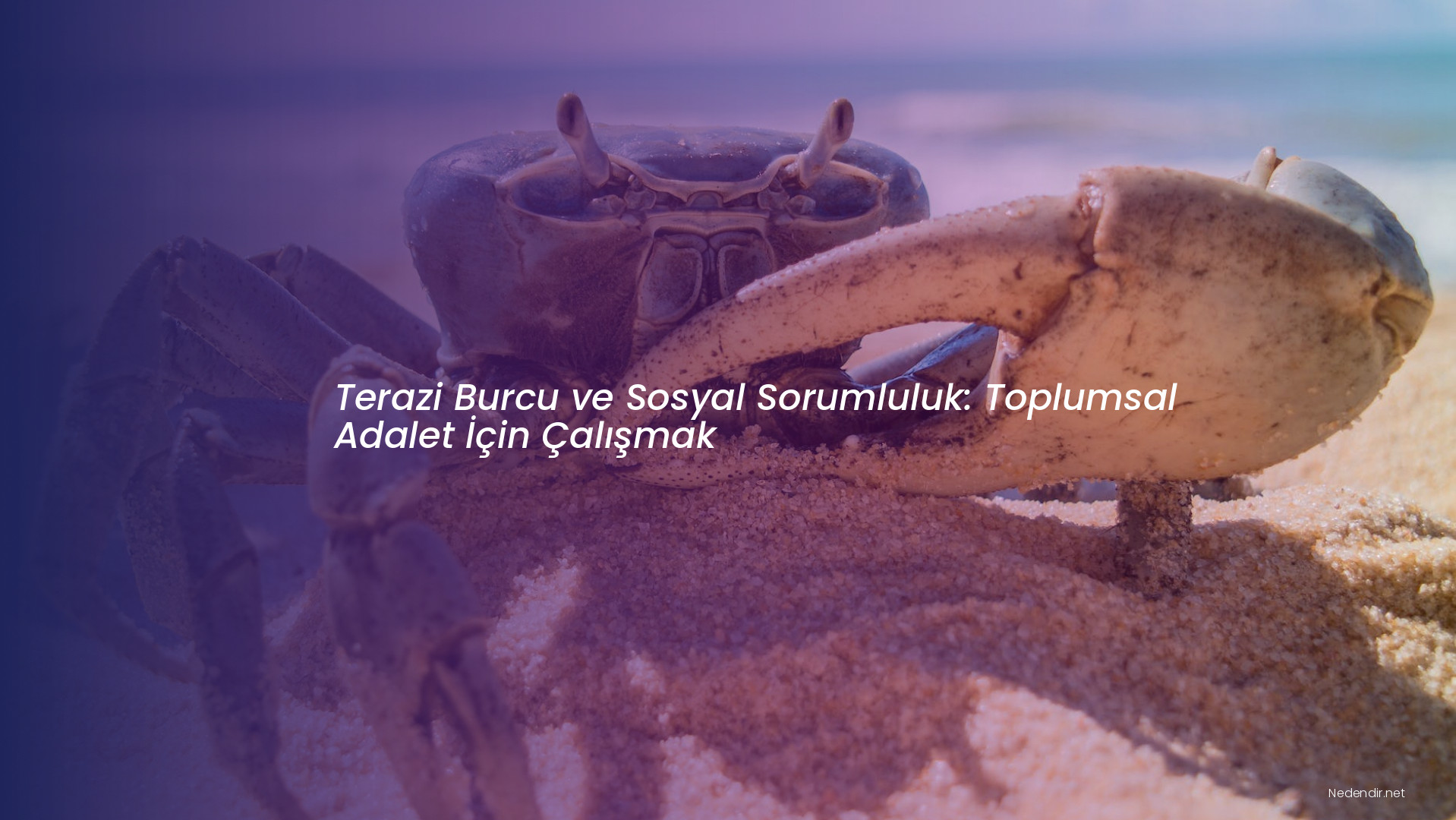 Terazi Burcu ve Sosyal Sorumluluk: Toplumsal Adalet İçin Çalışmak