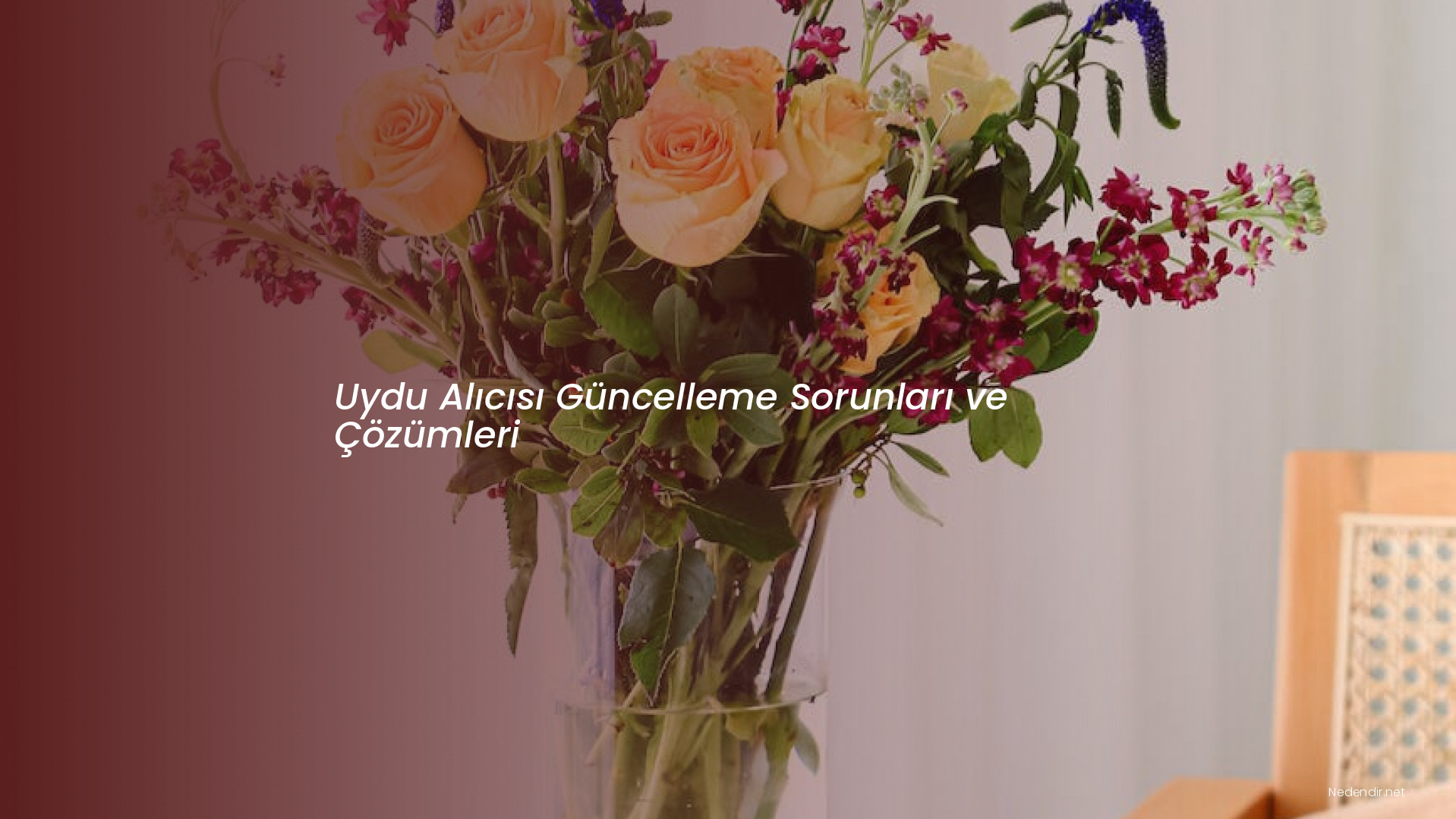 Uydu Alıcısı Güncelleme Sorunları ve Çözümleri