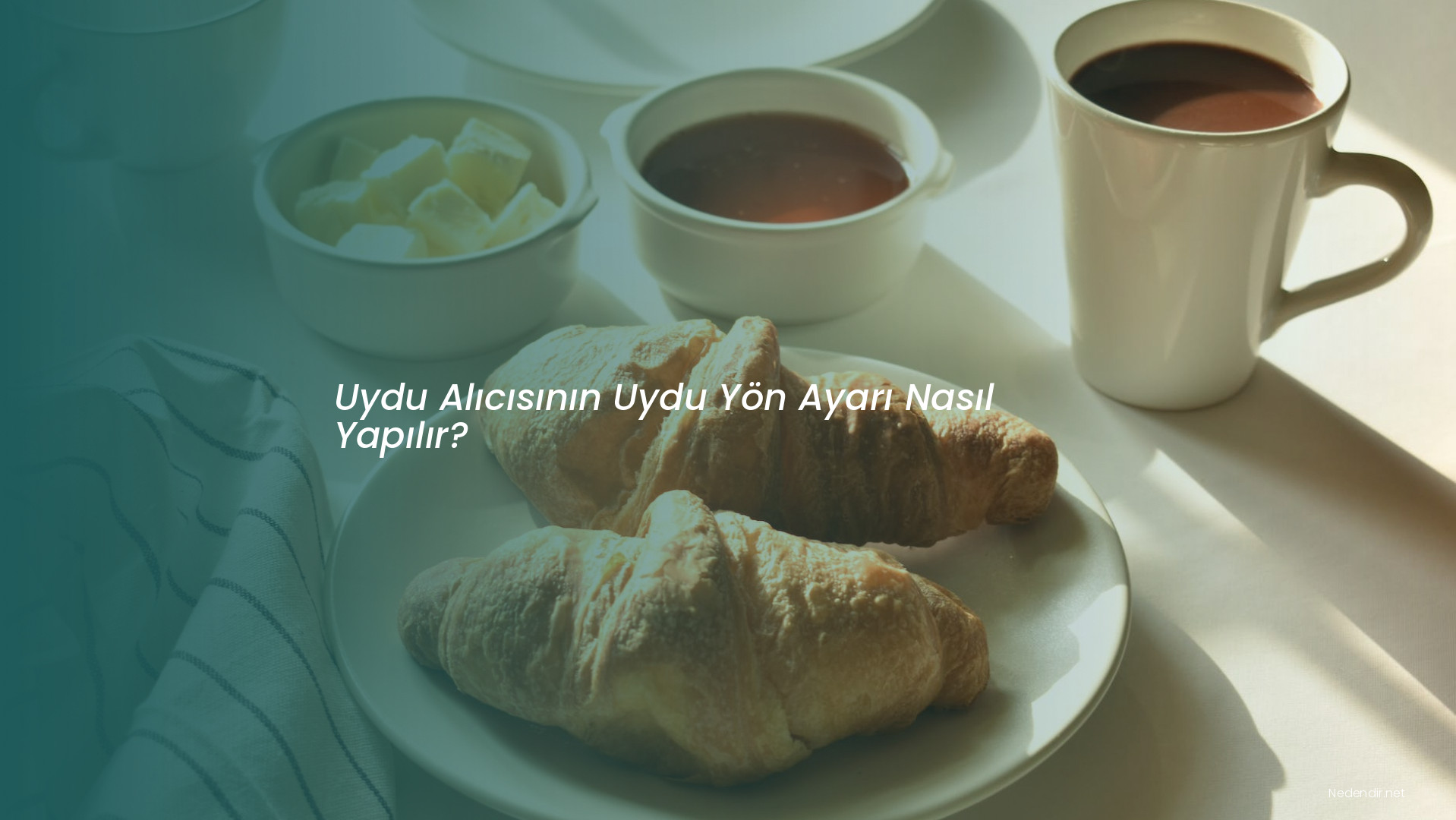 Uydu Alıcısının Uydu Yön Ayarı Nasıl Yapılır?