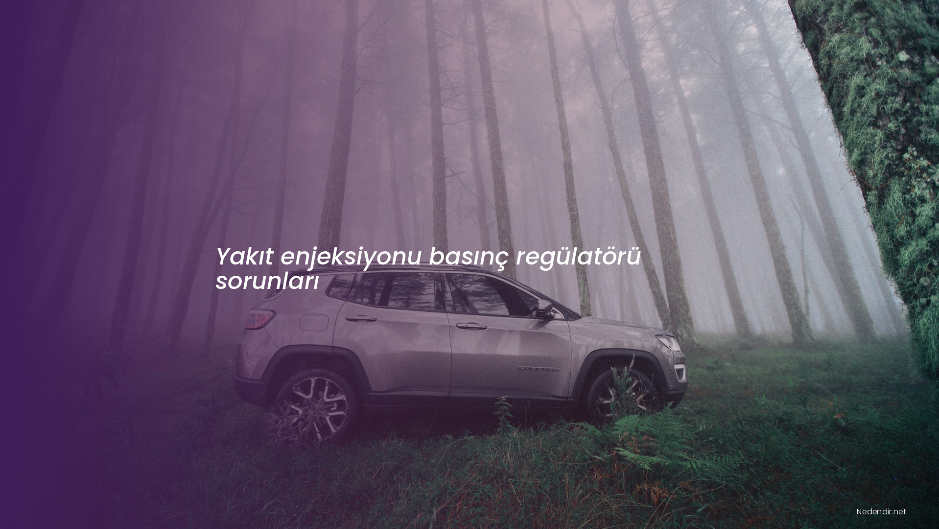 Yakıt enjeksiyonu basınç regülatörü sorunları