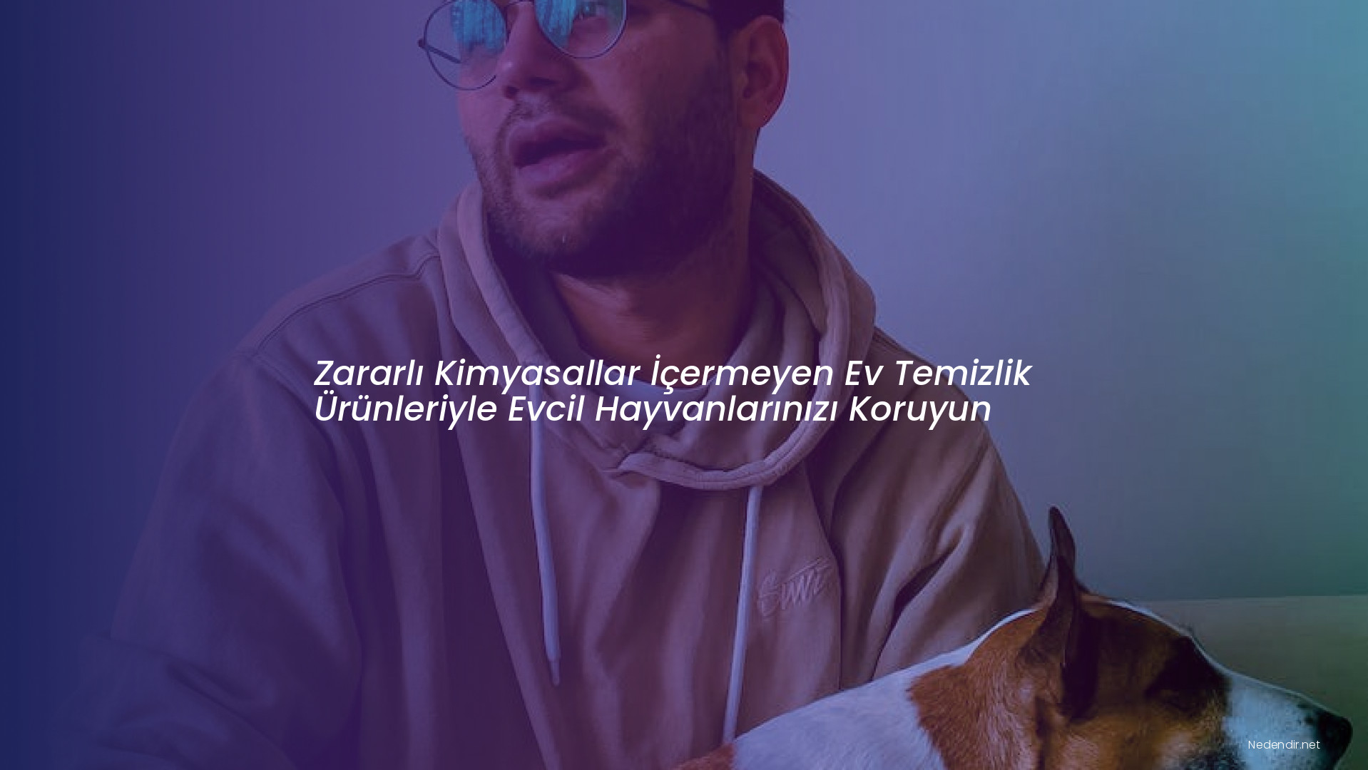 Zararlı Kimyasallar İçermeyen Ev Temizlik Ürünleriyle Evcil Hayvanlarınızı Koruyun